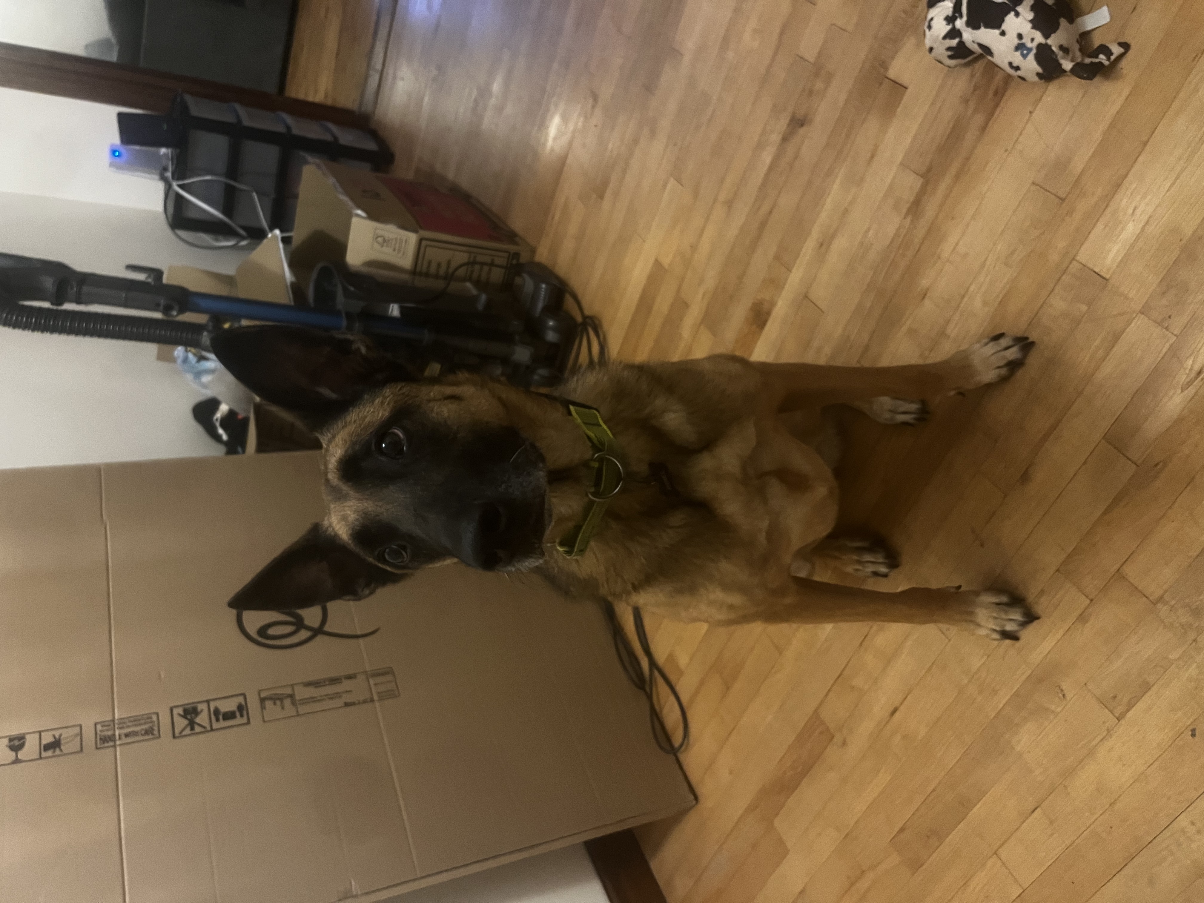 image-7