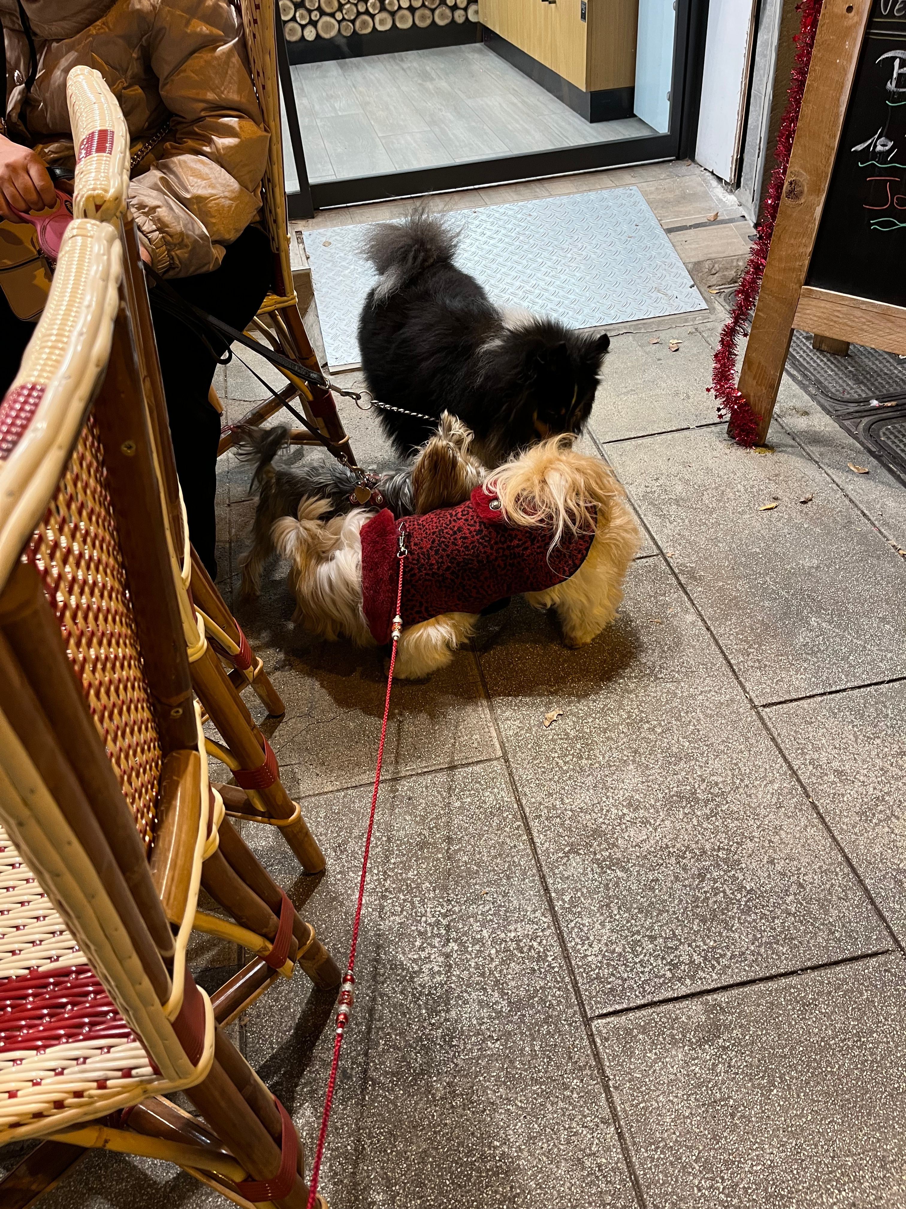 image-12