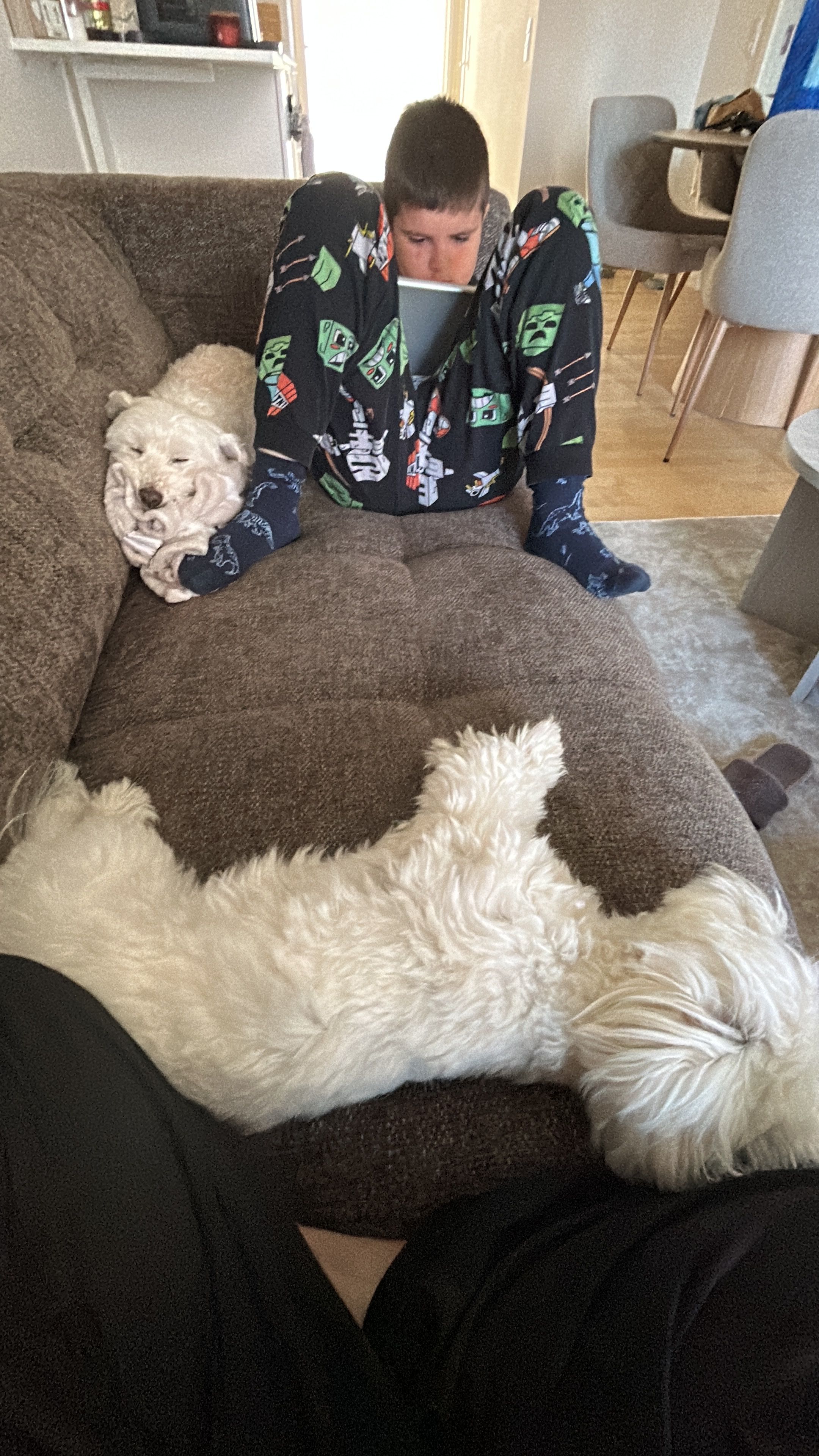 image-9