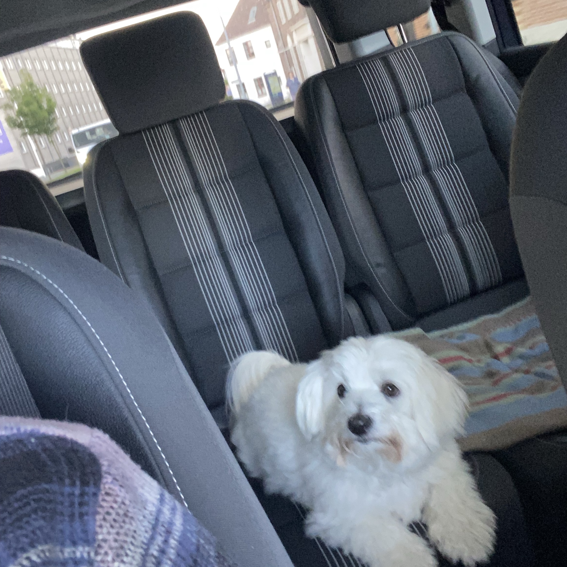 Maggie