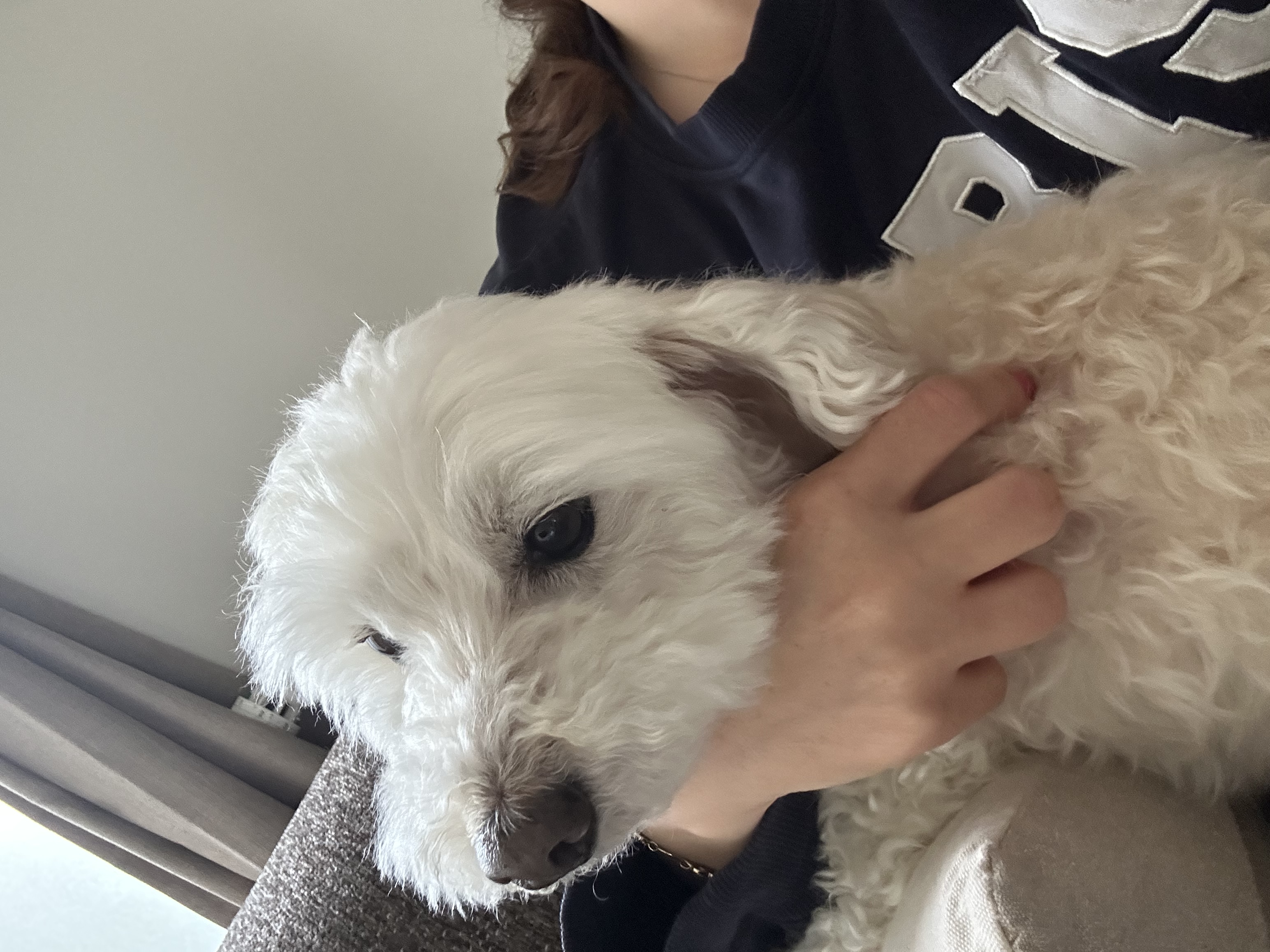image-10