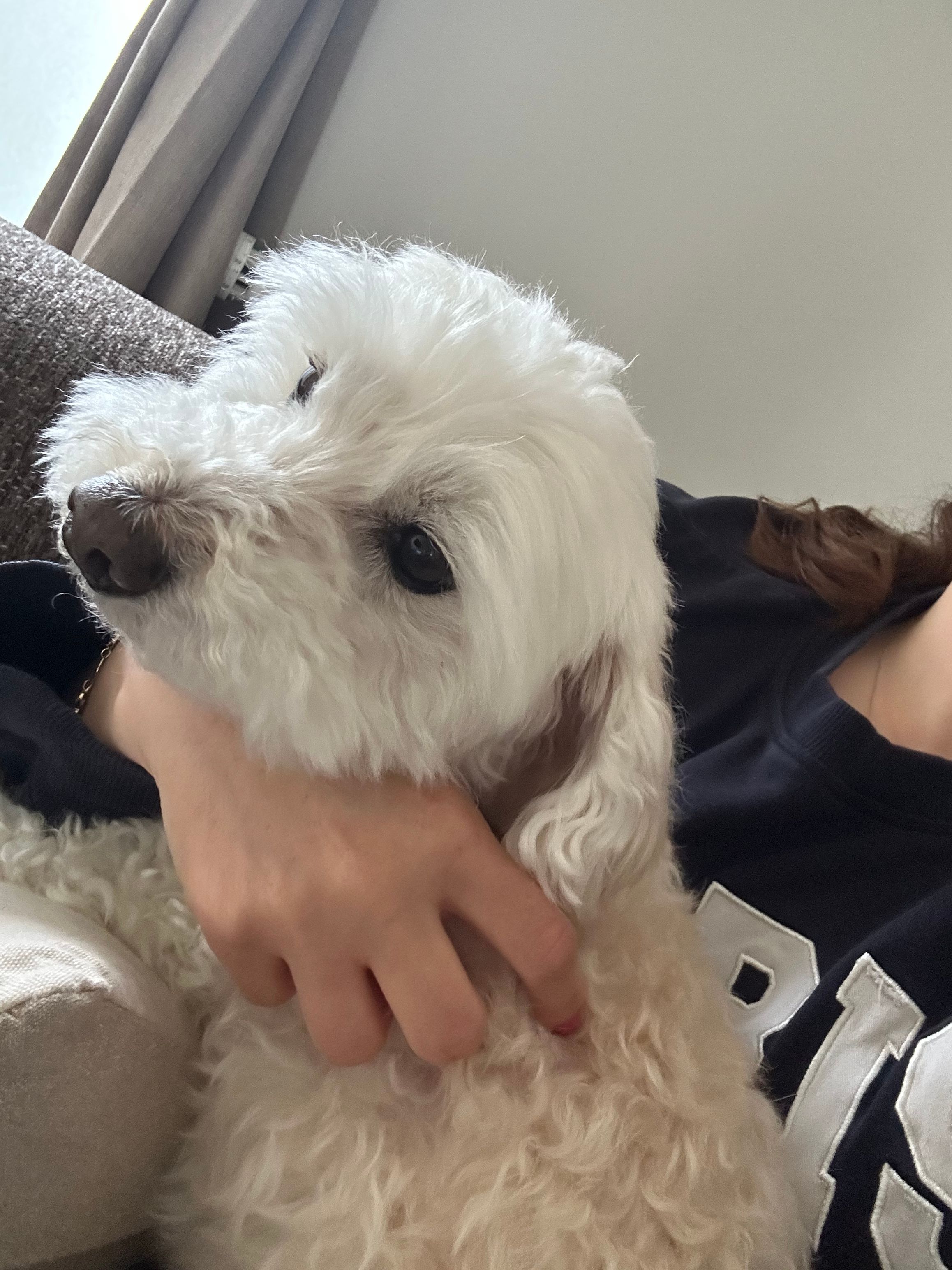 image-10