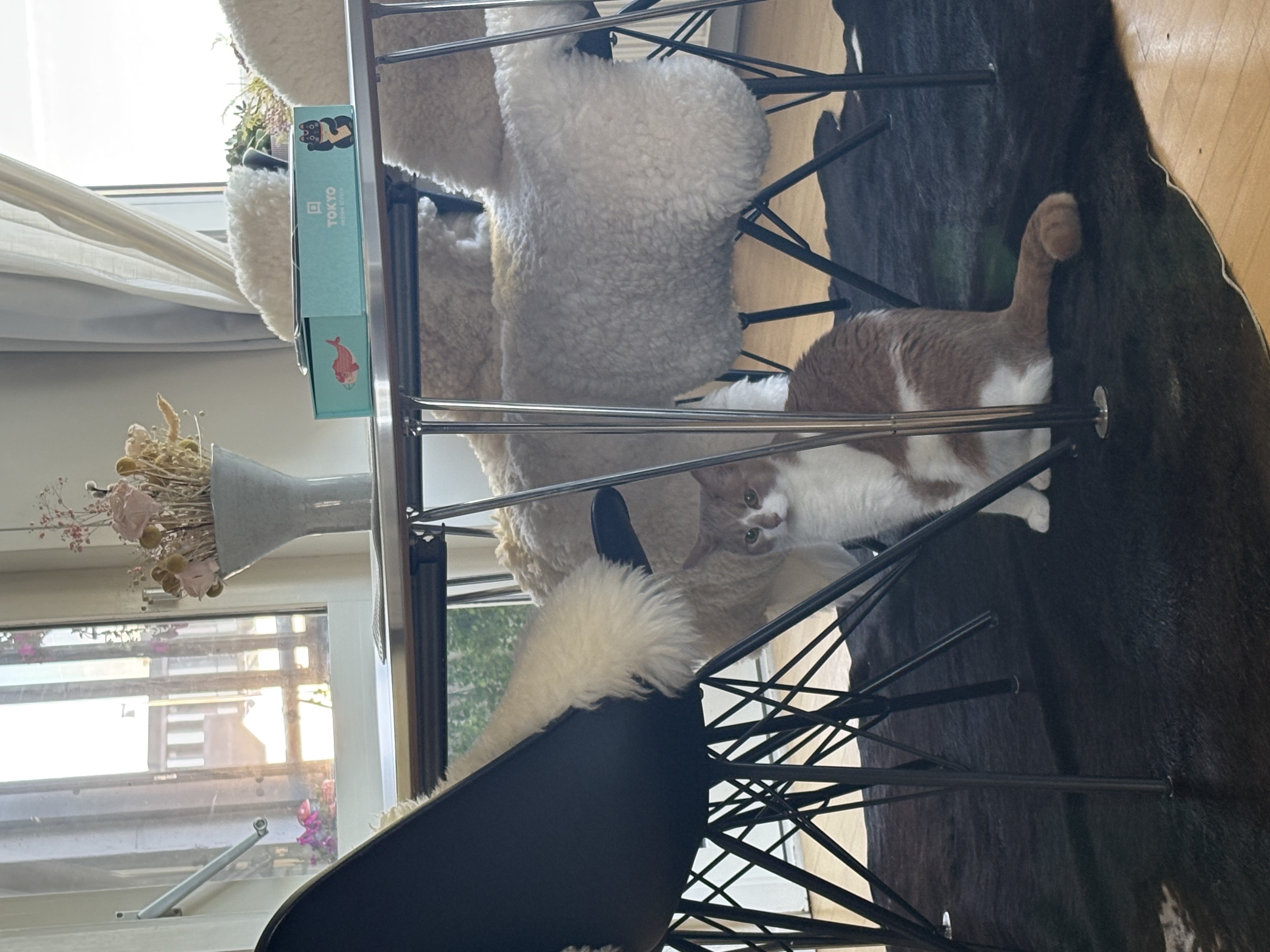 image-10