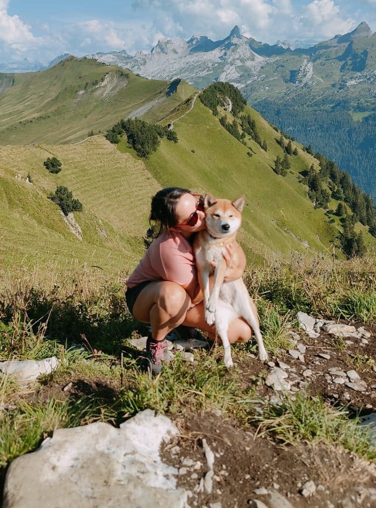image-1
