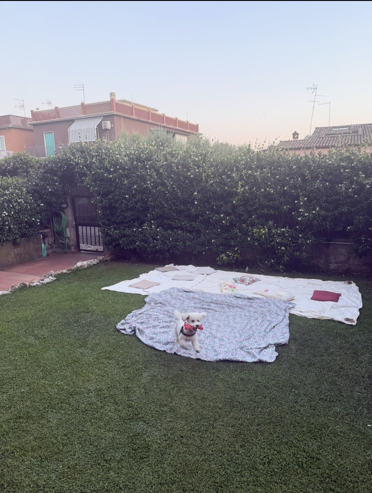 image-21