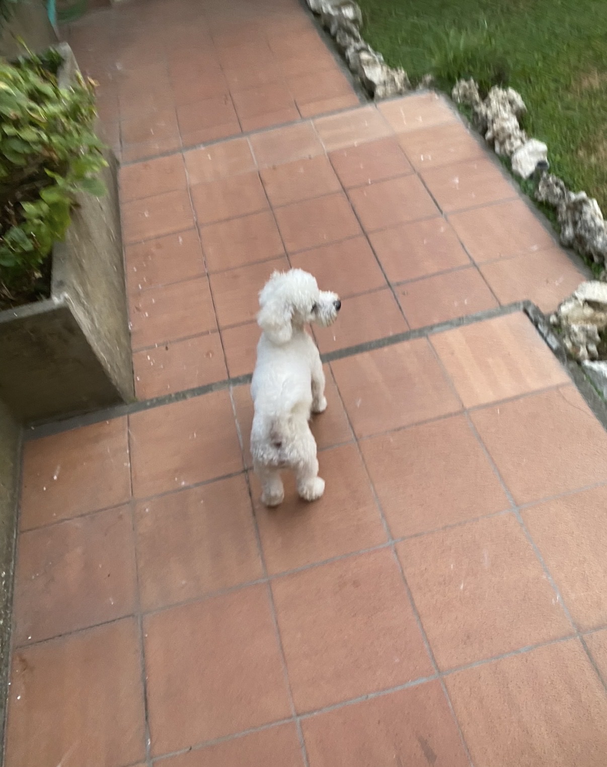 image-27