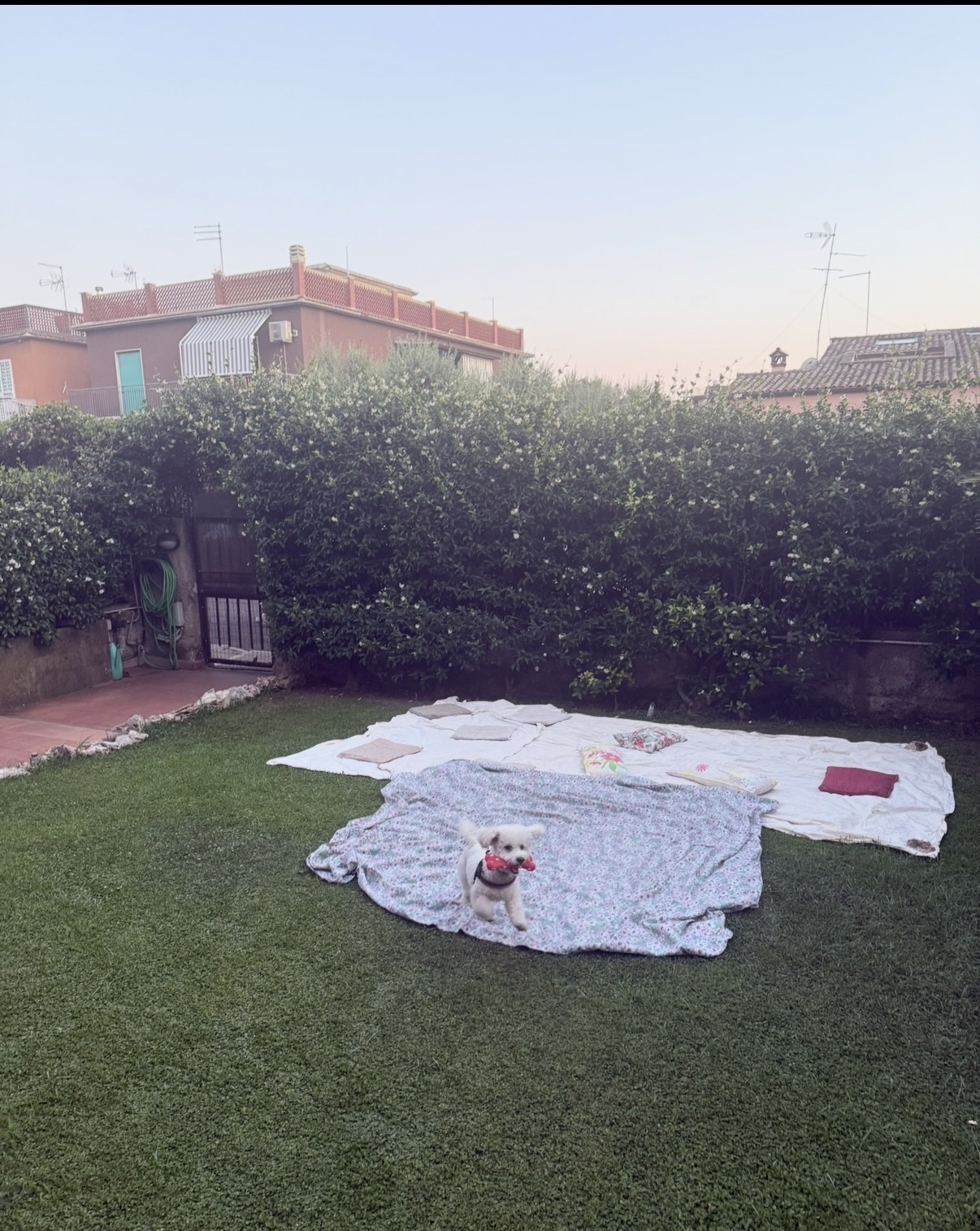 image-26