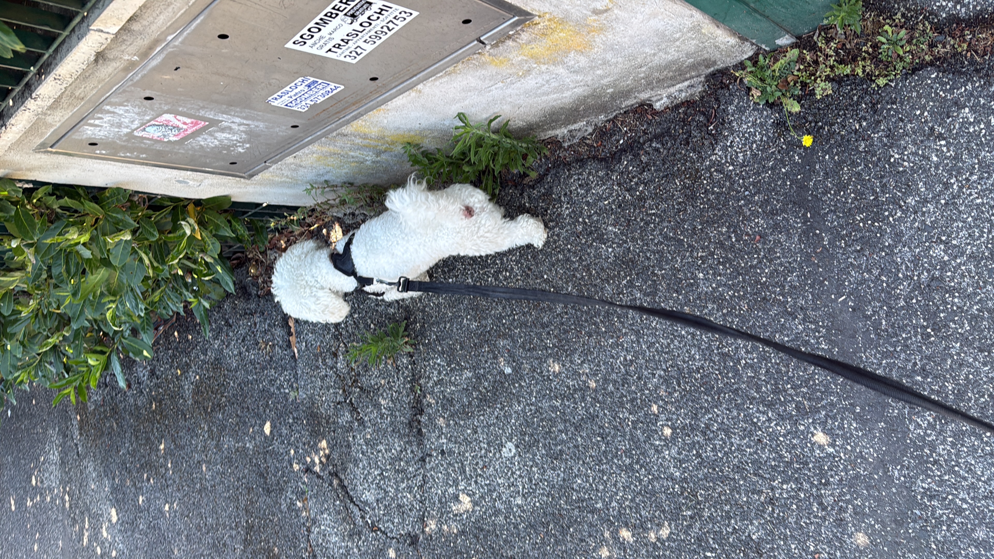 image-7