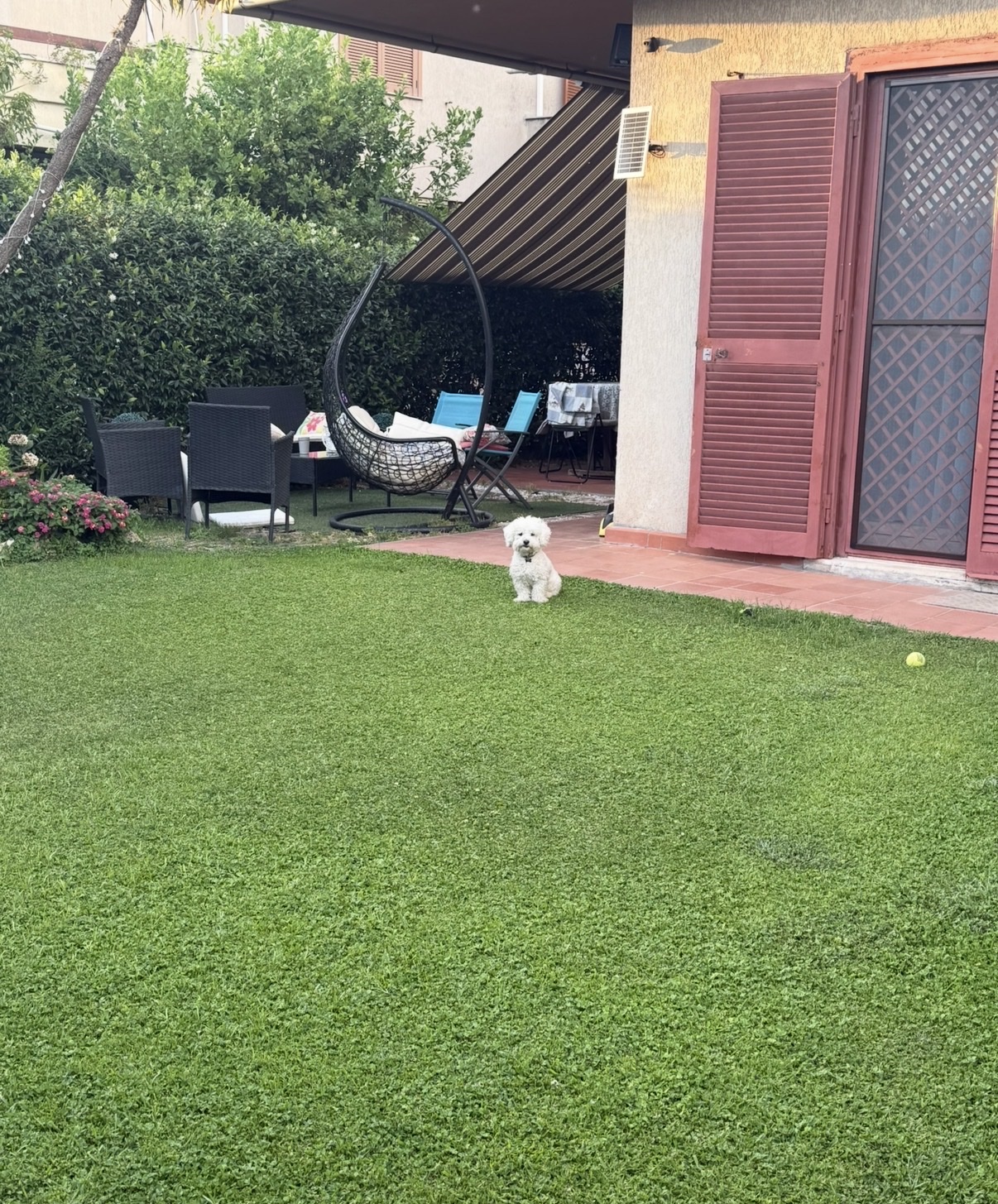 image-19