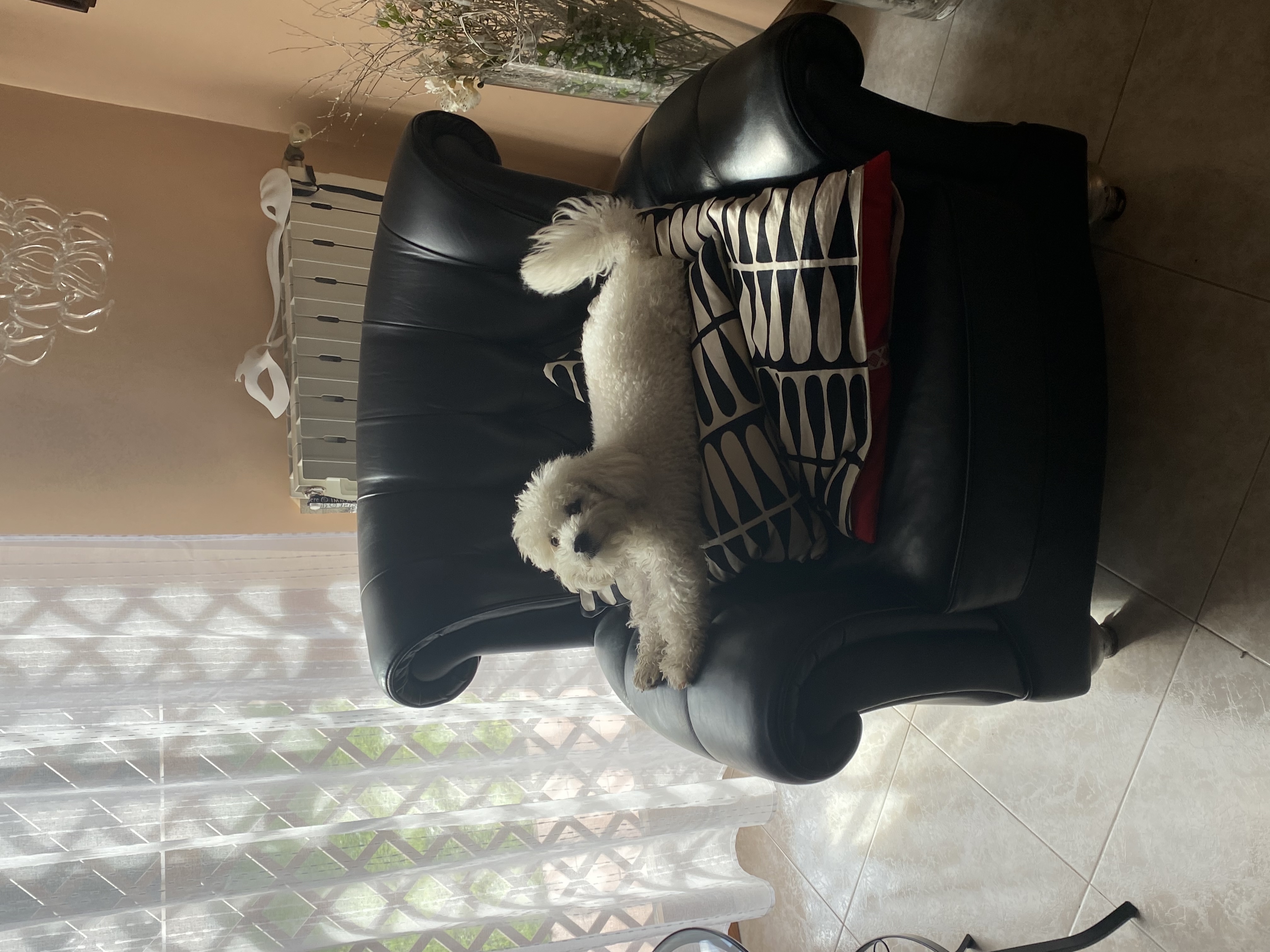 image-15