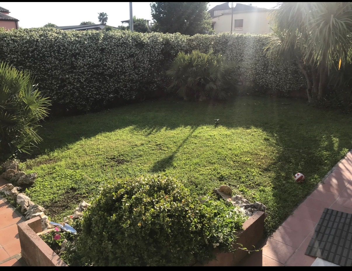 image-18
