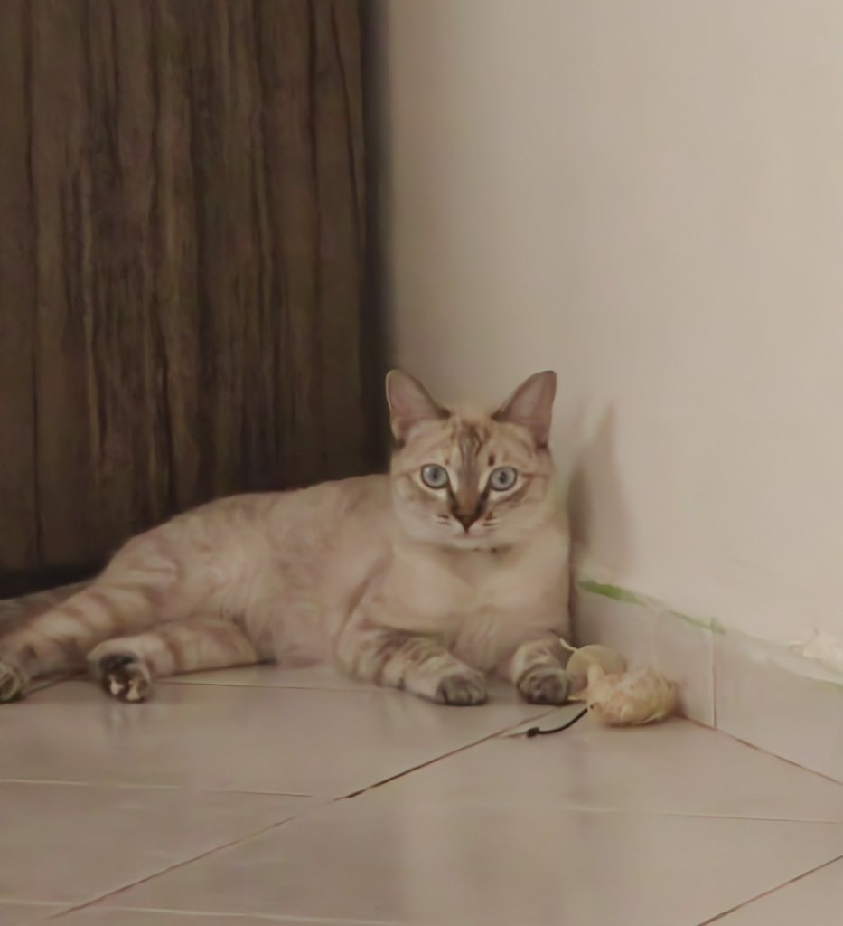 image-7