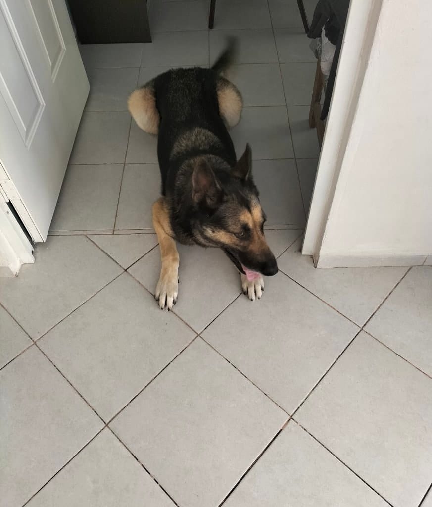 image-11