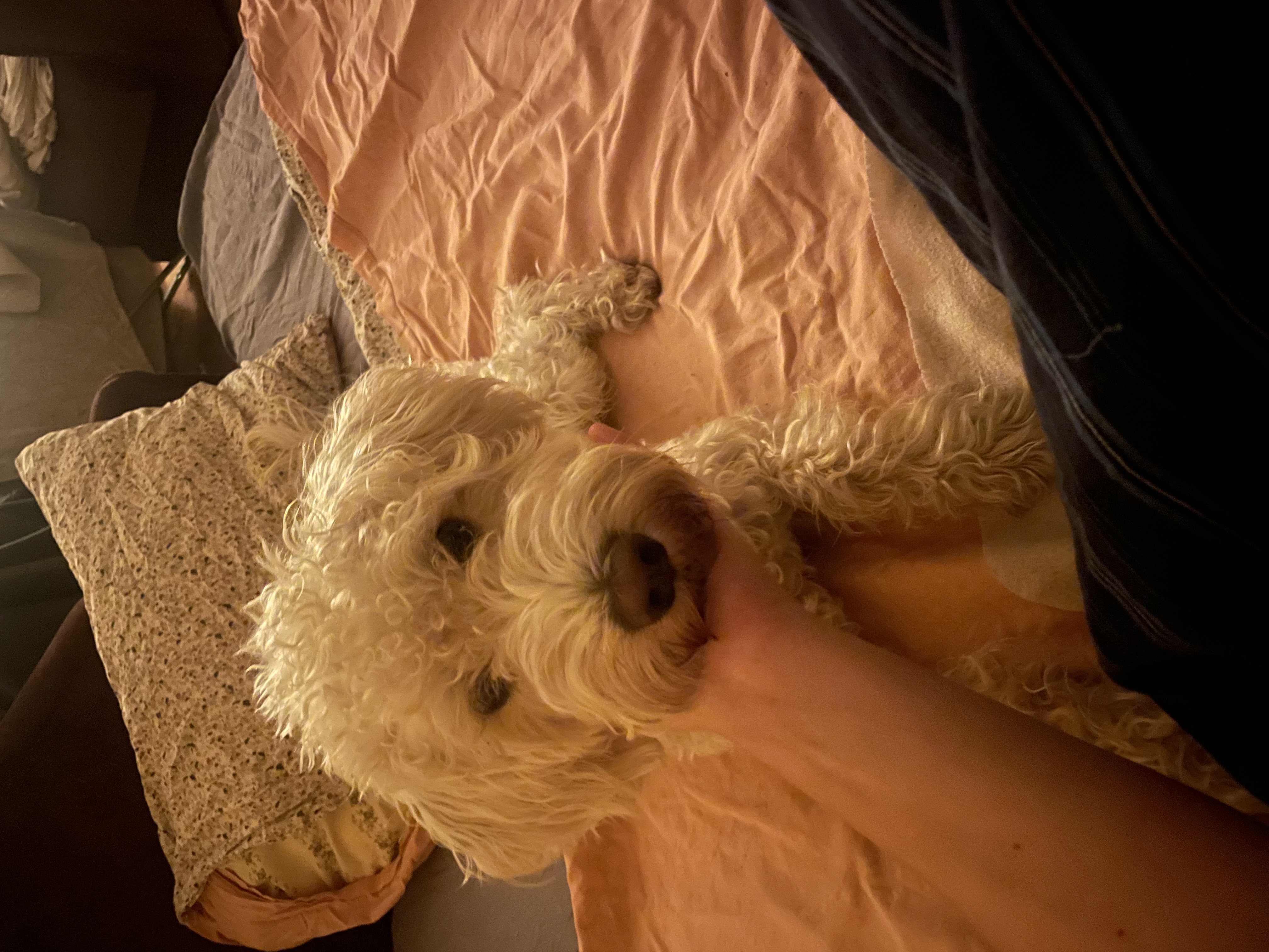image-6