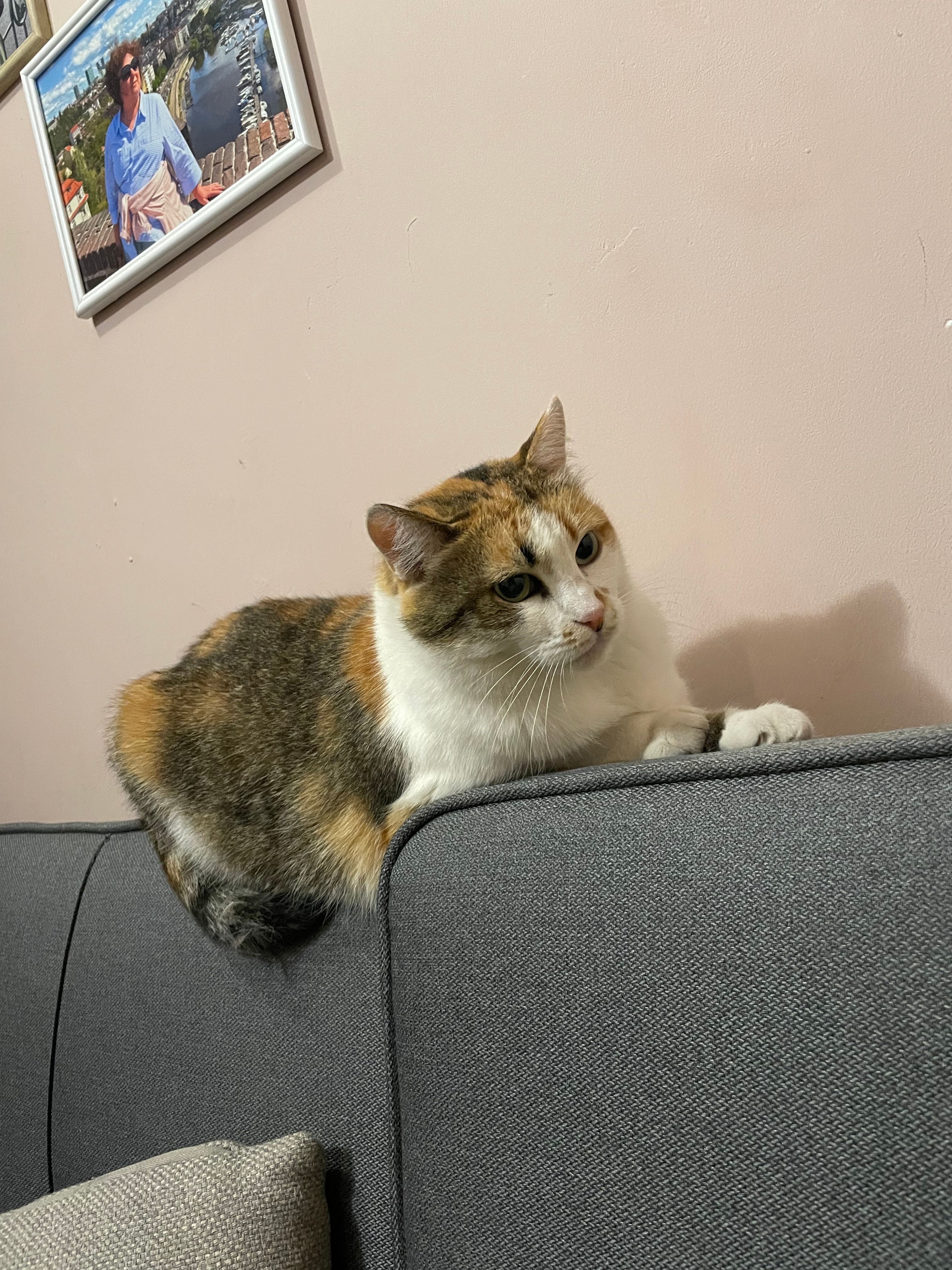 image-10