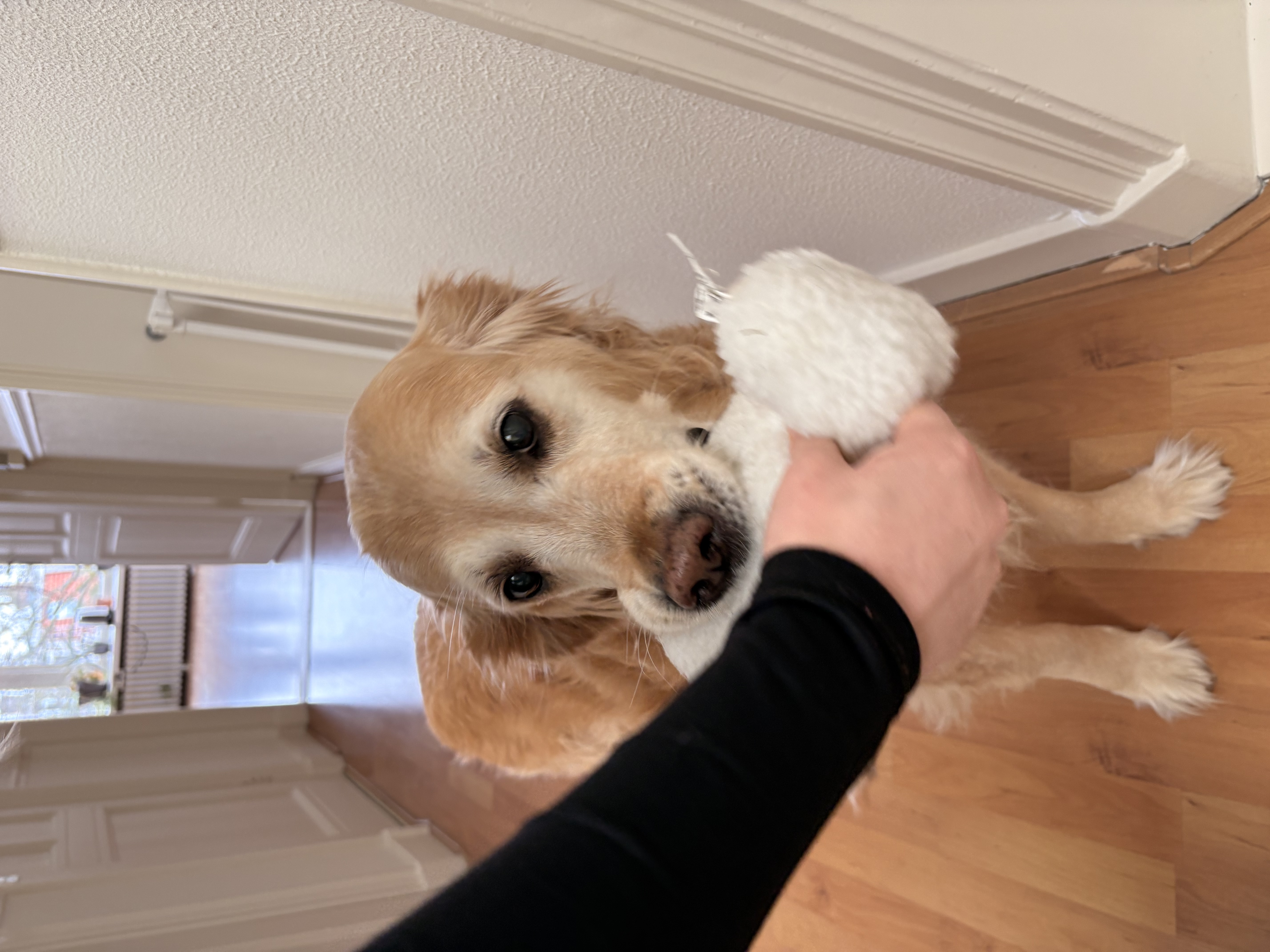 image-9