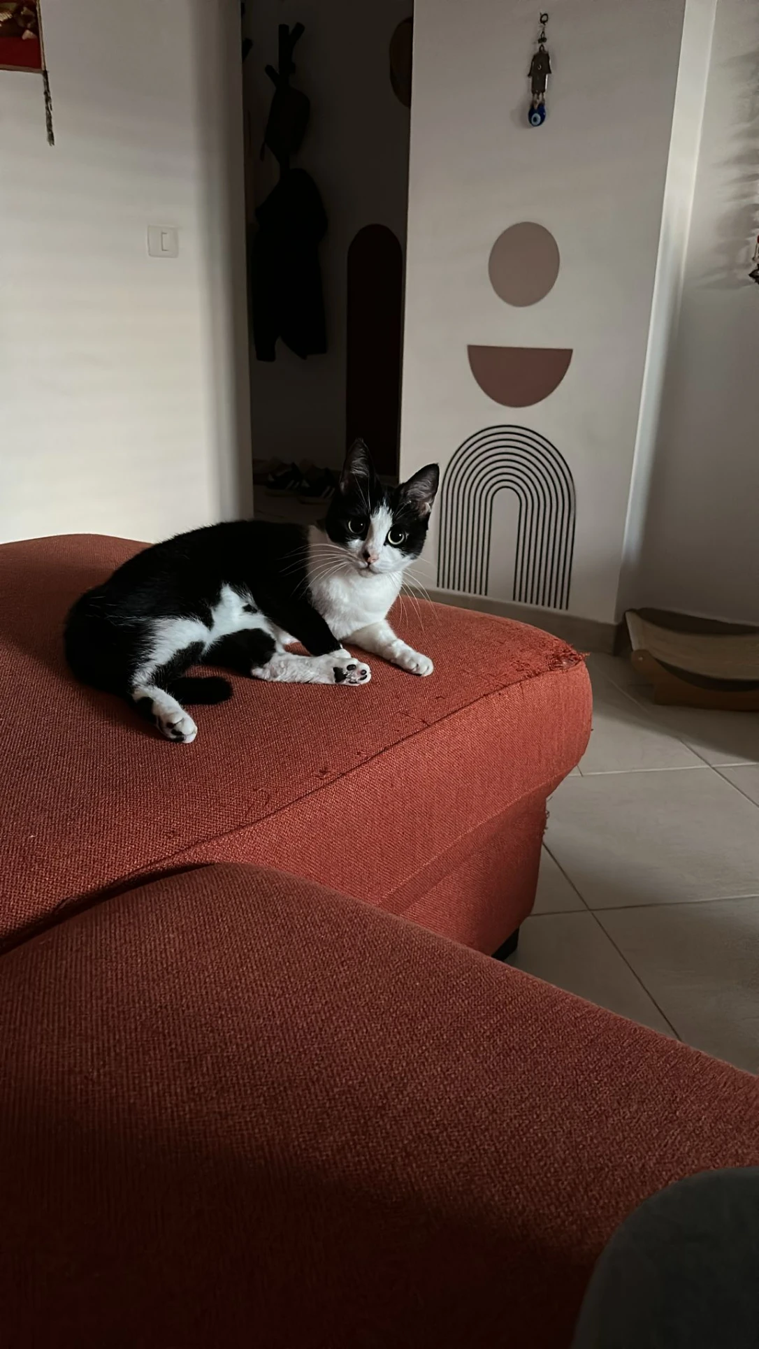 image-8