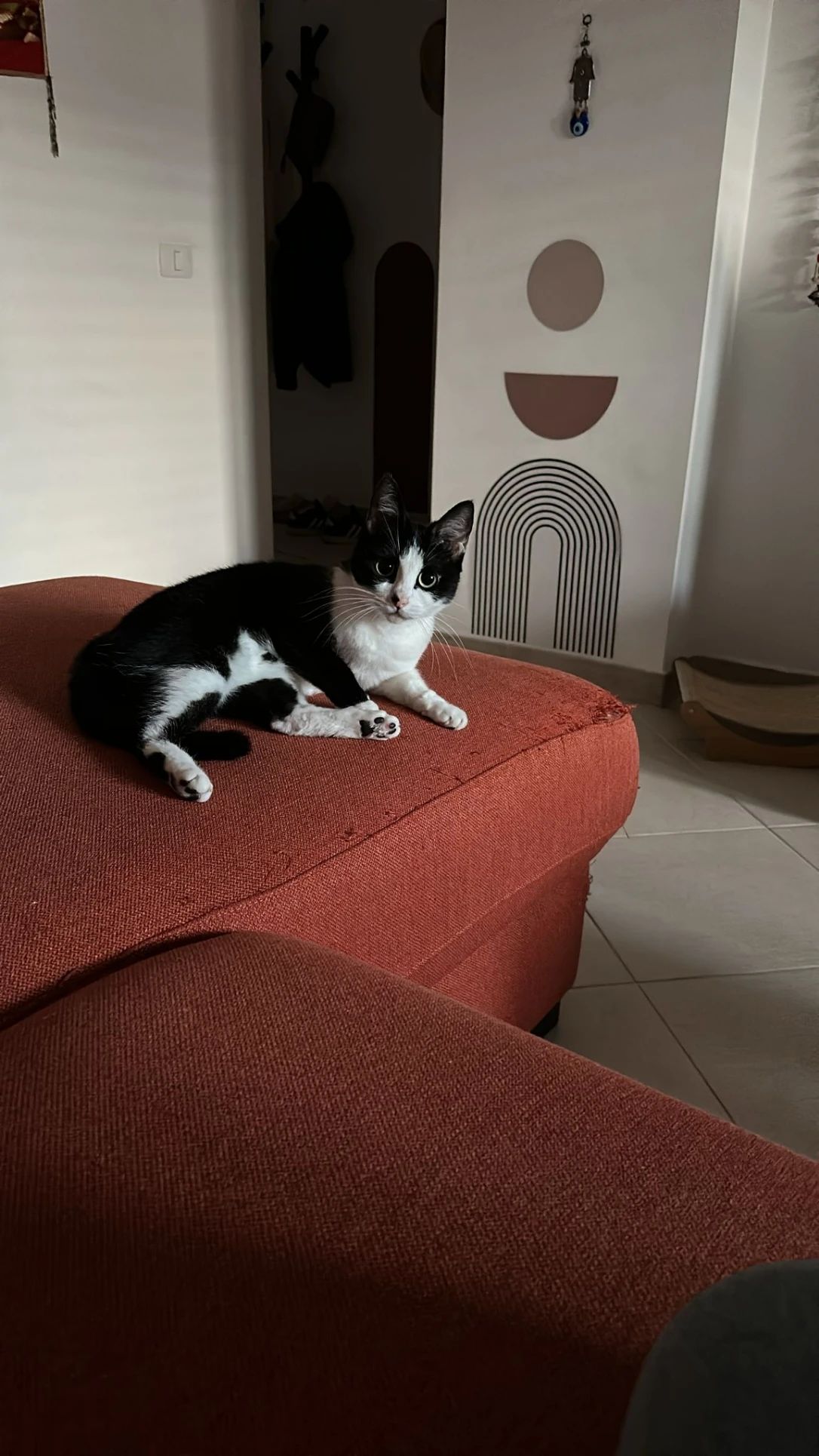 image-8