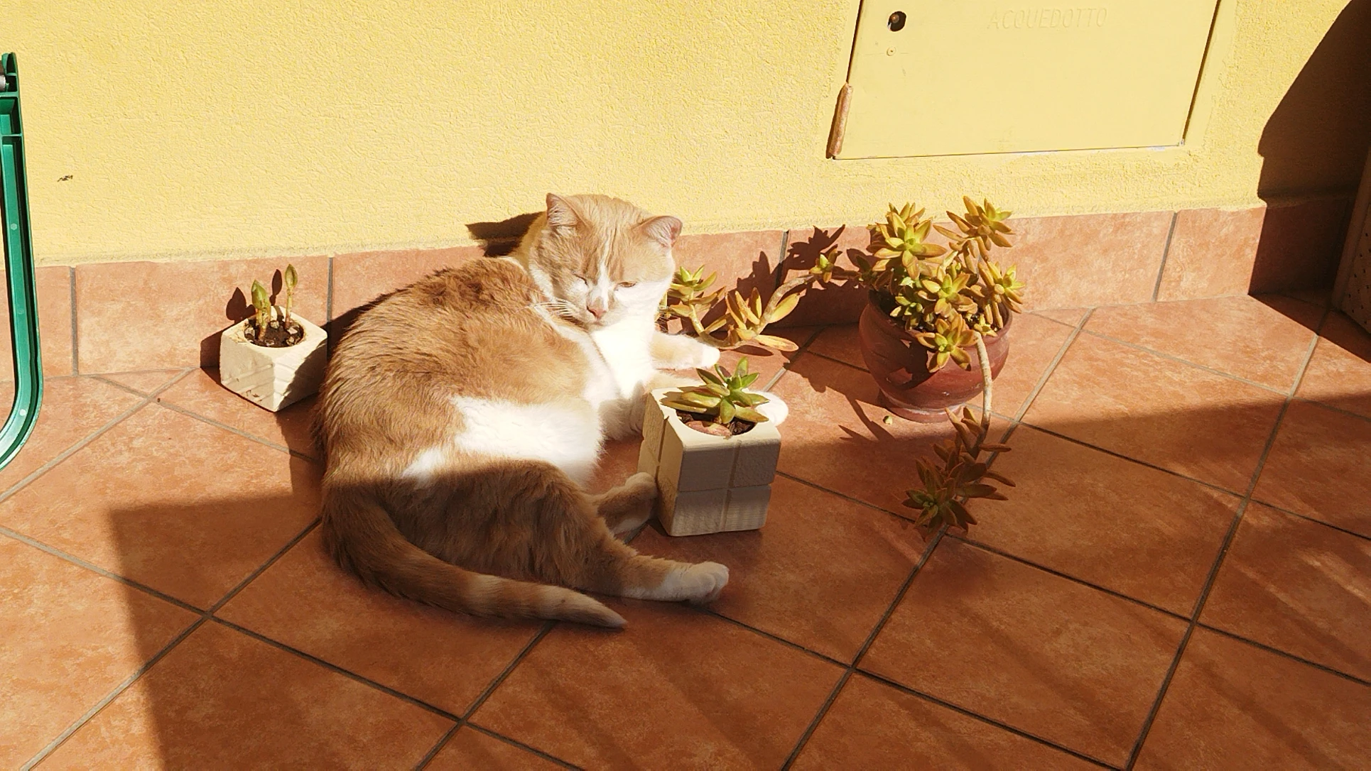 image-7