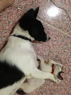 image-6