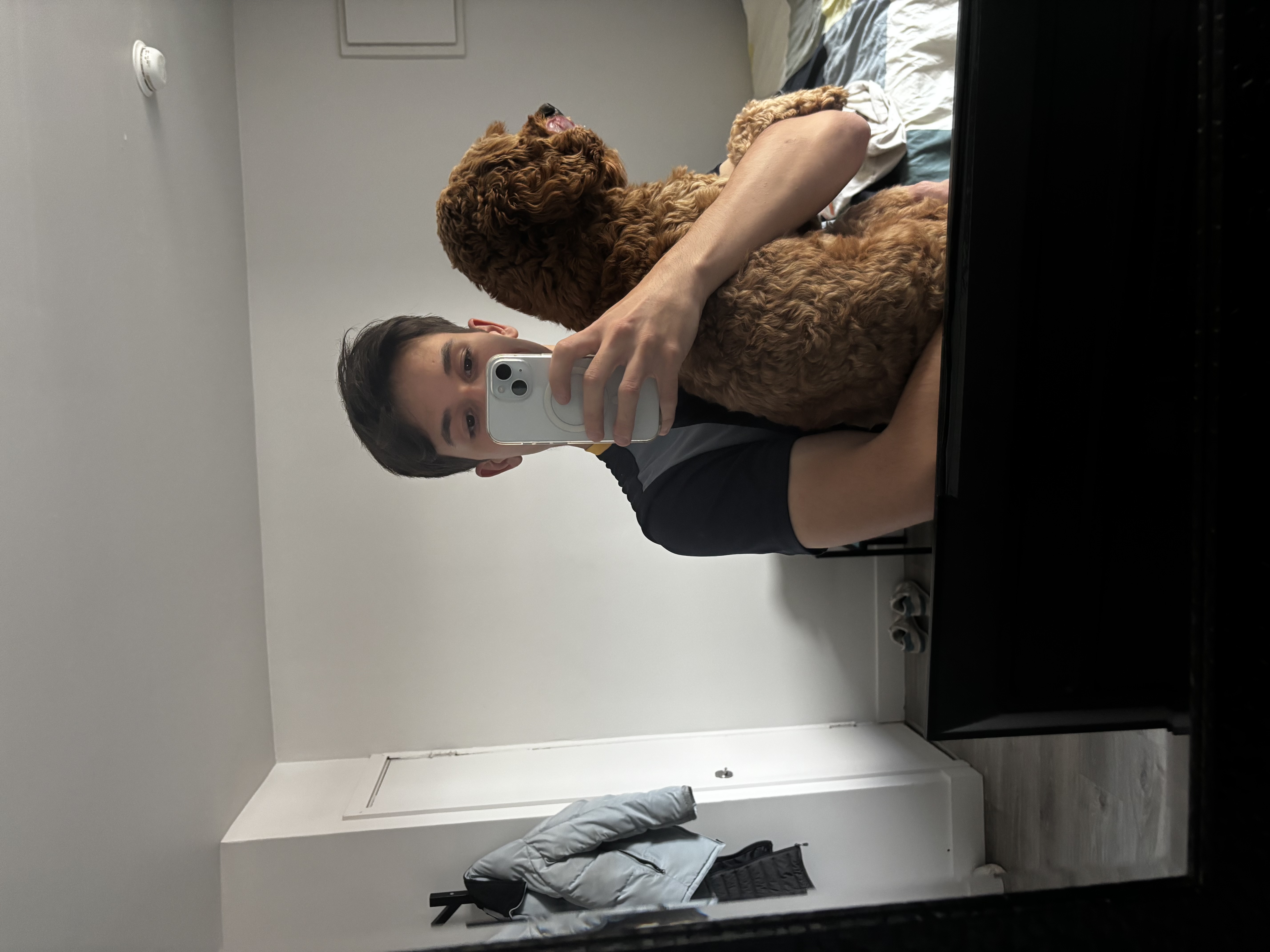 image-4