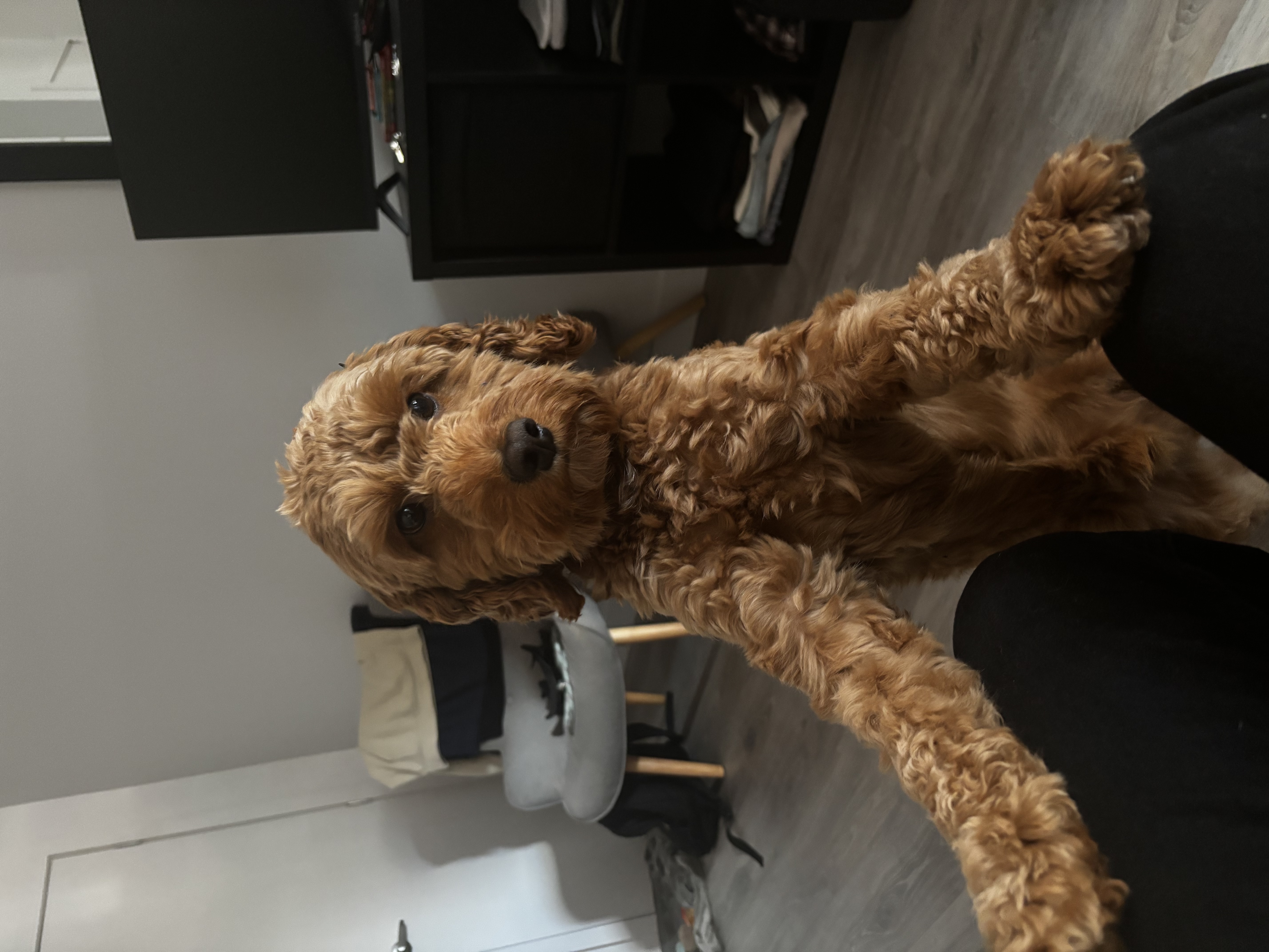 image-7