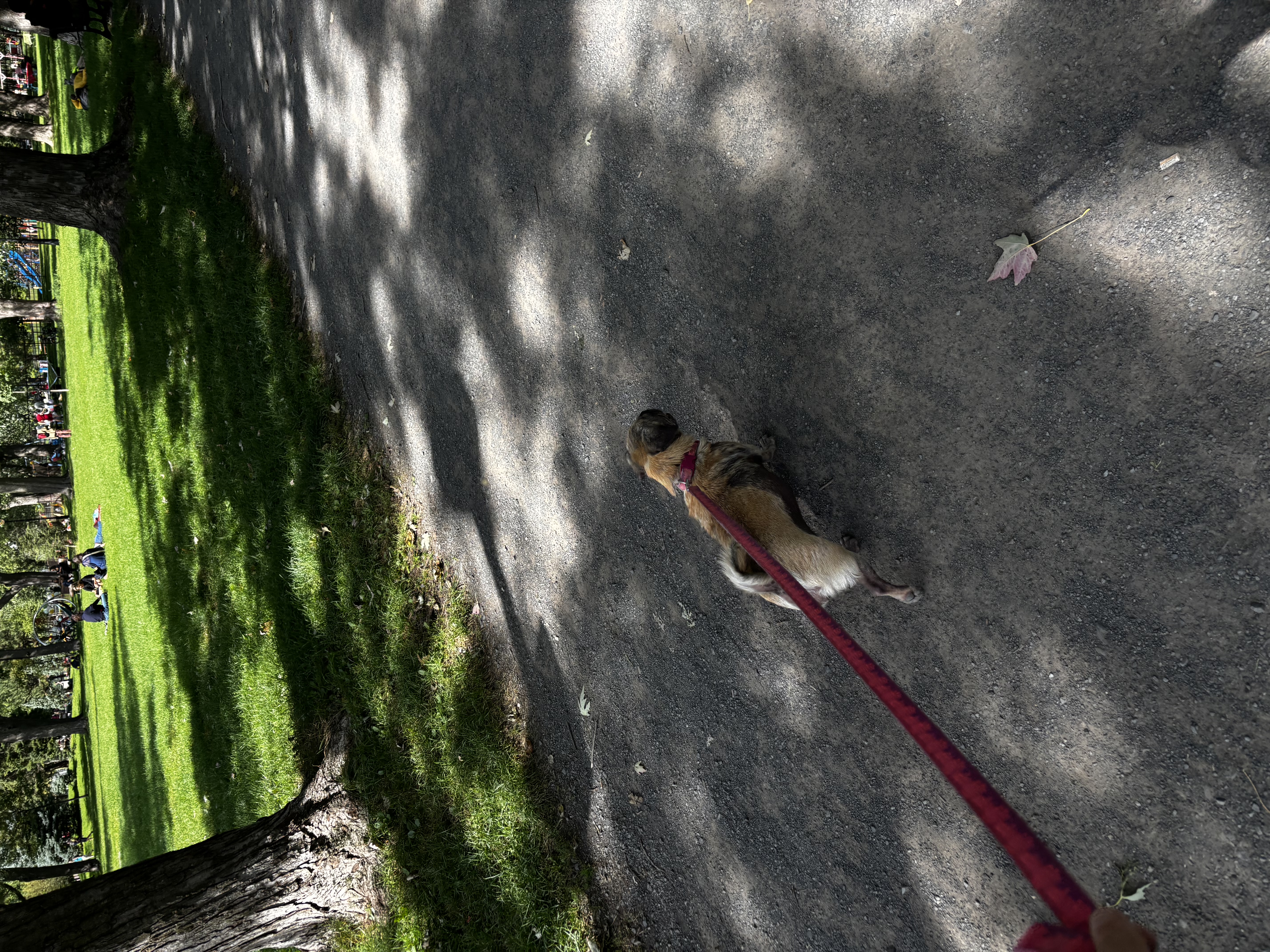 image-5