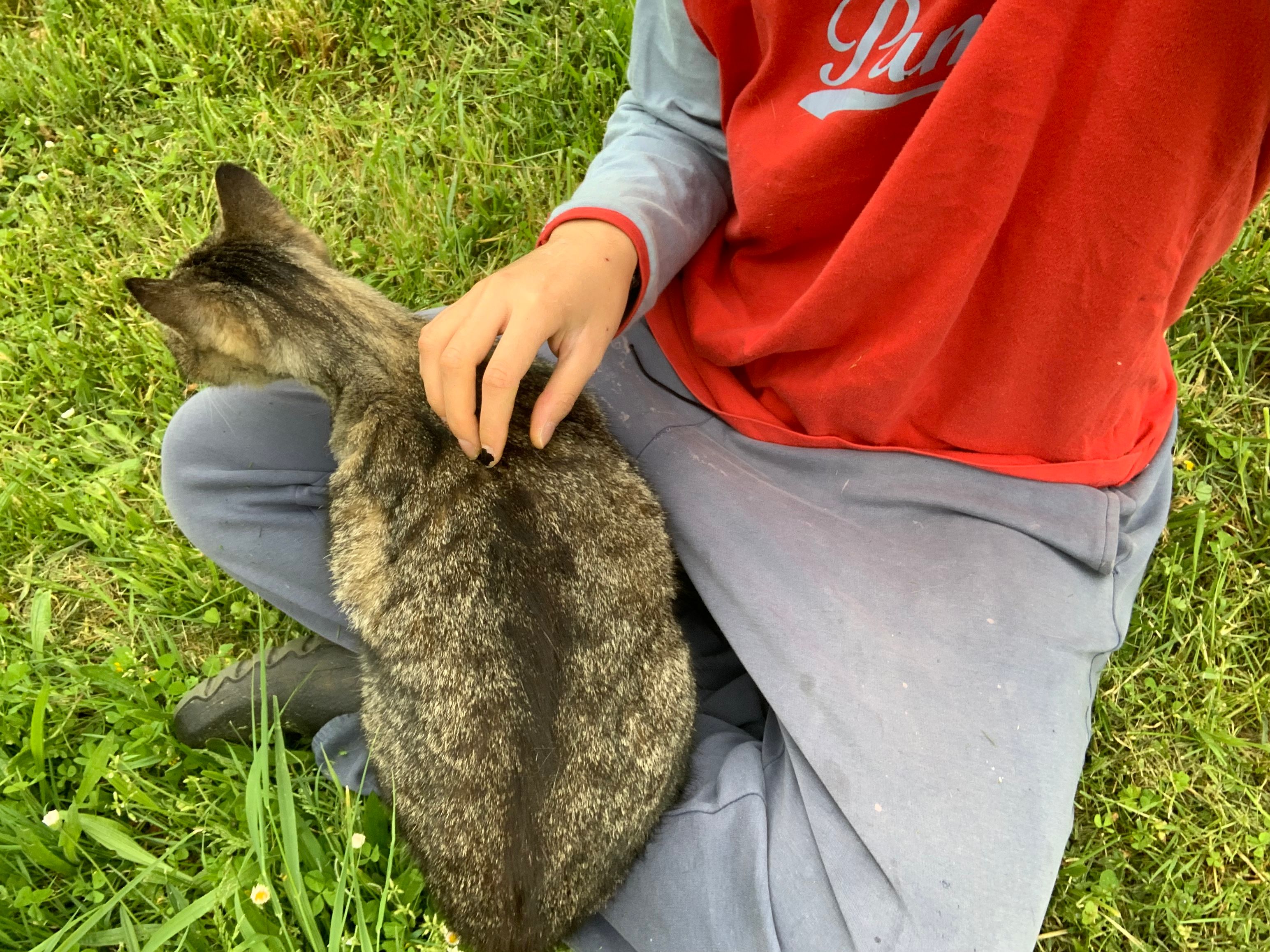 image-7