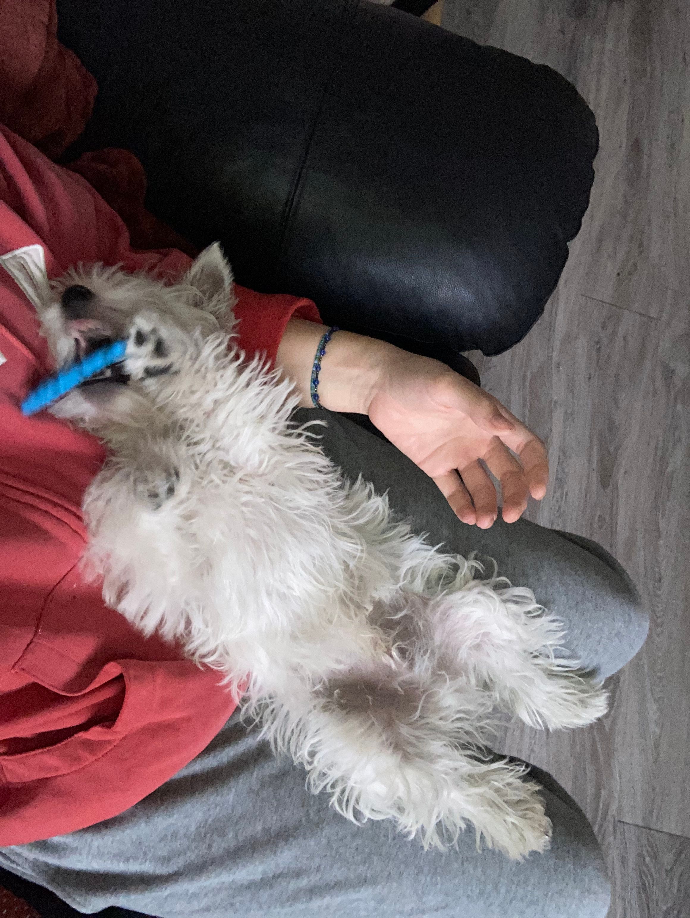 image-11