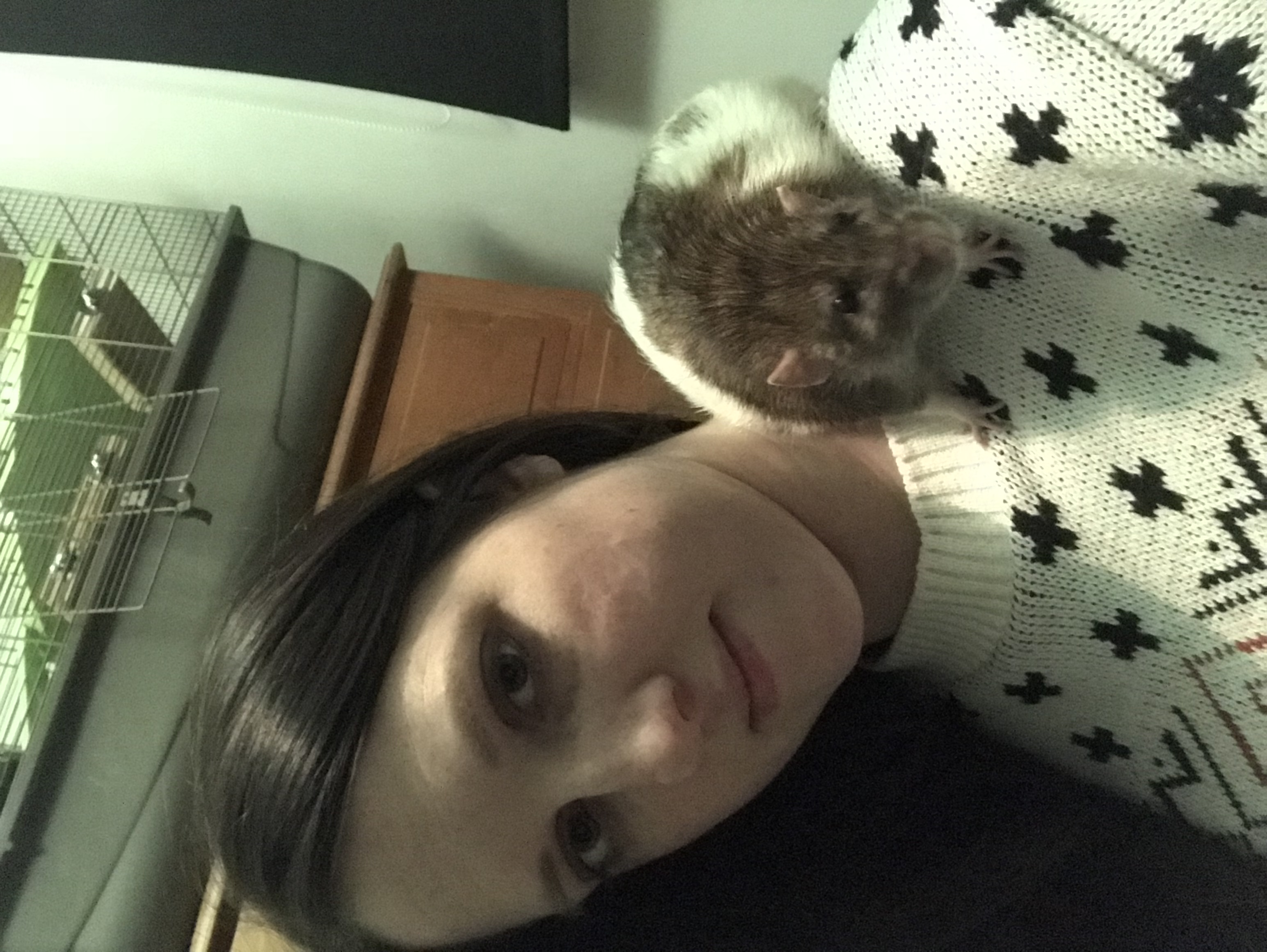 image-2