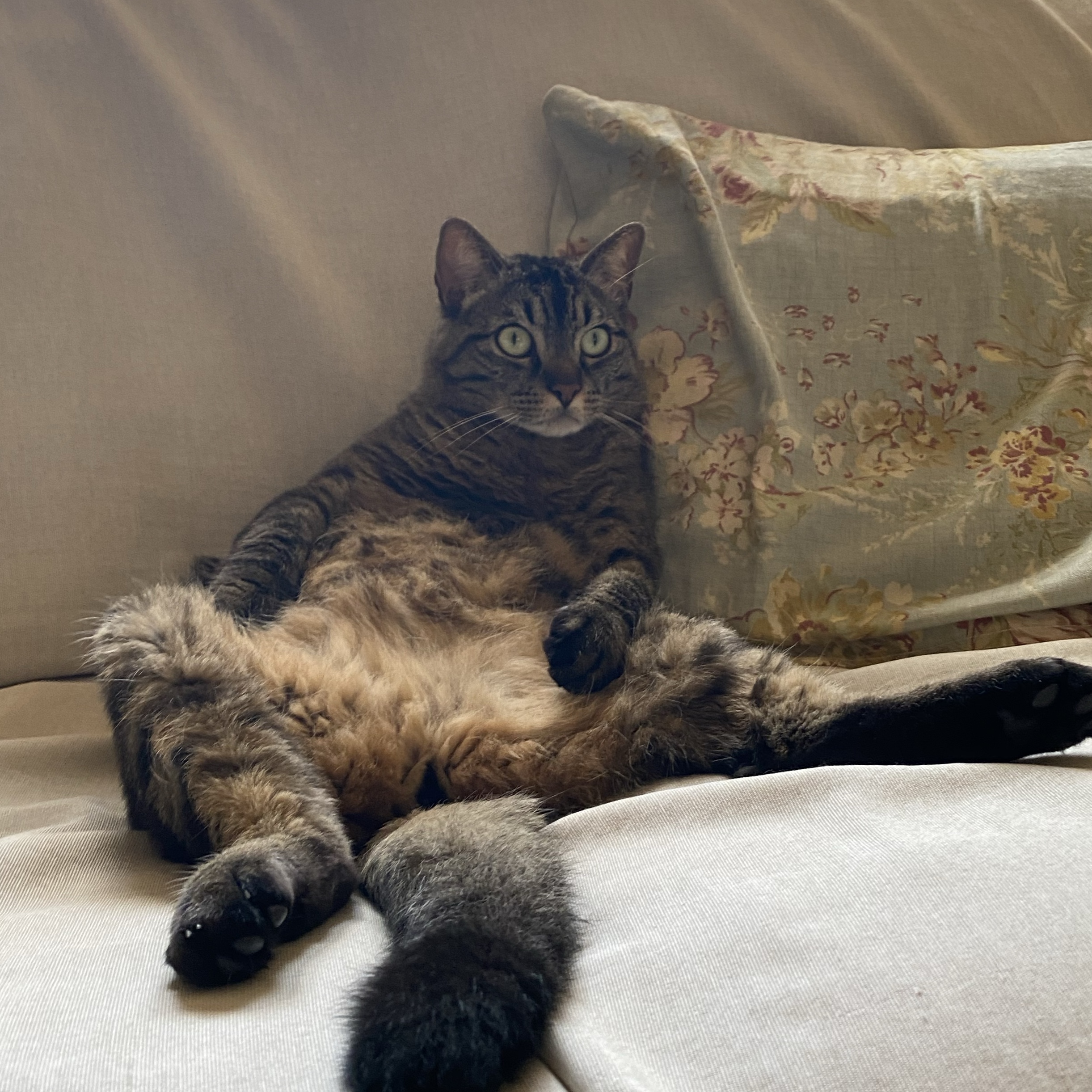 Mimi