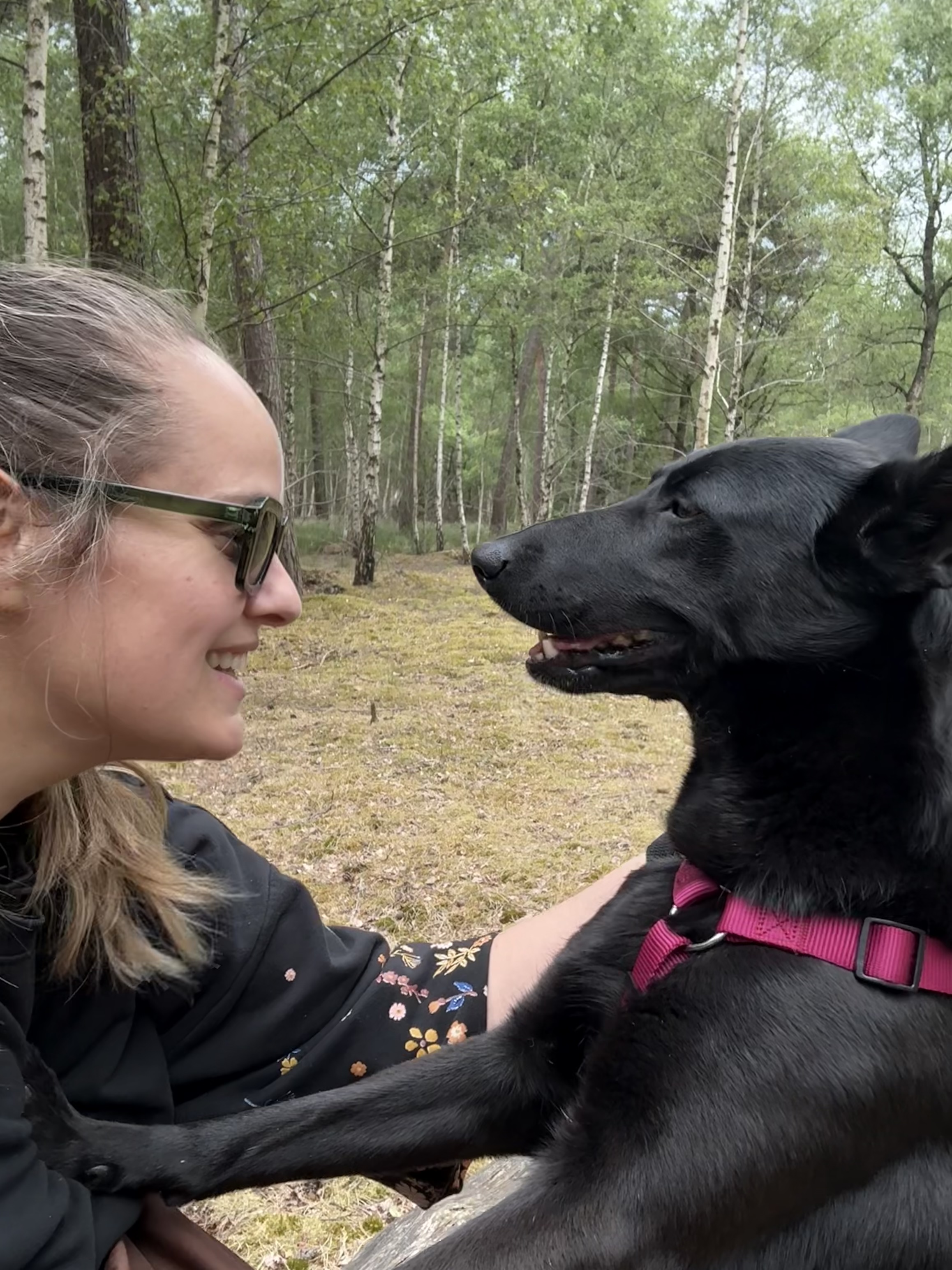 image-0