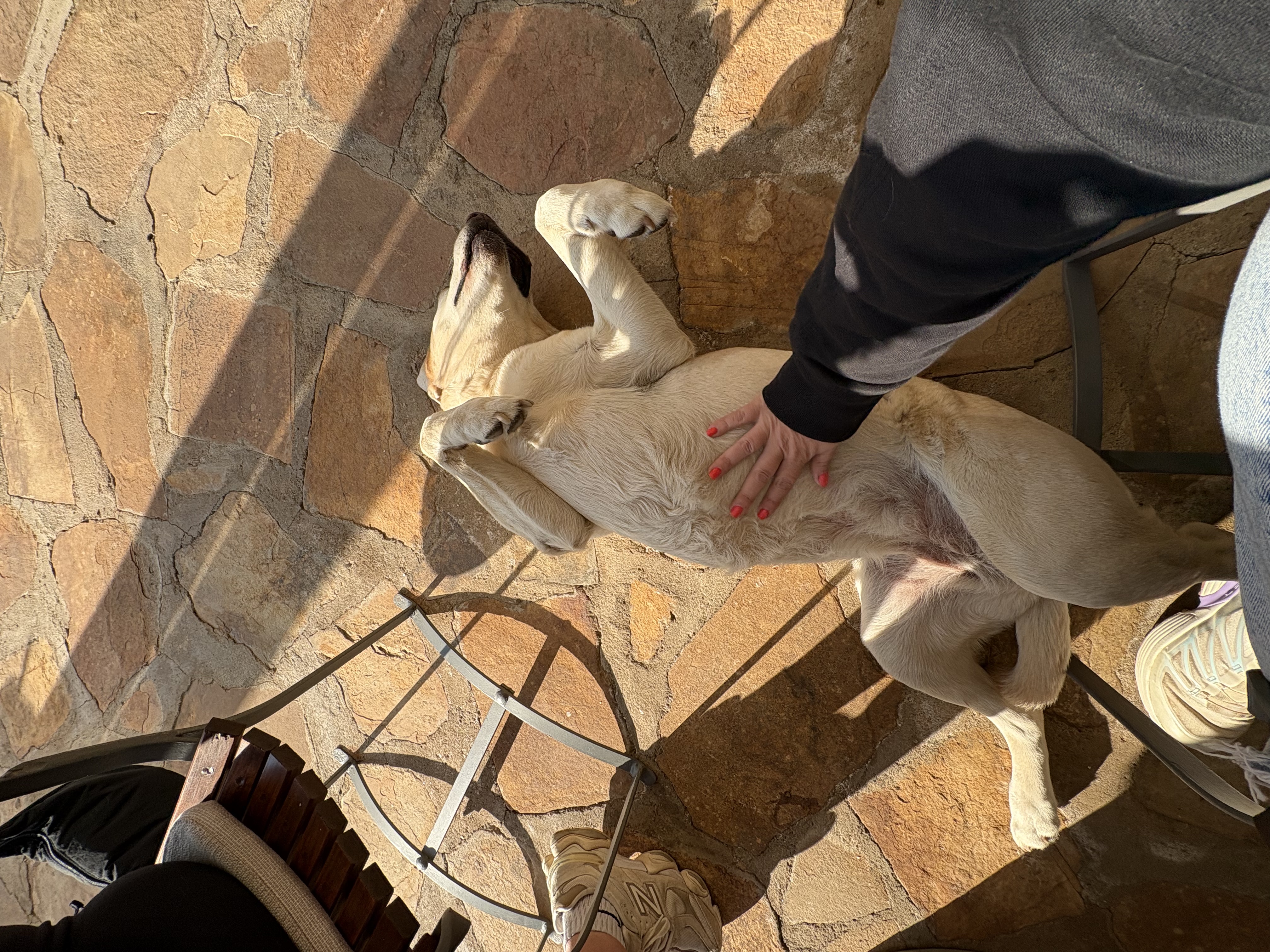 image-6