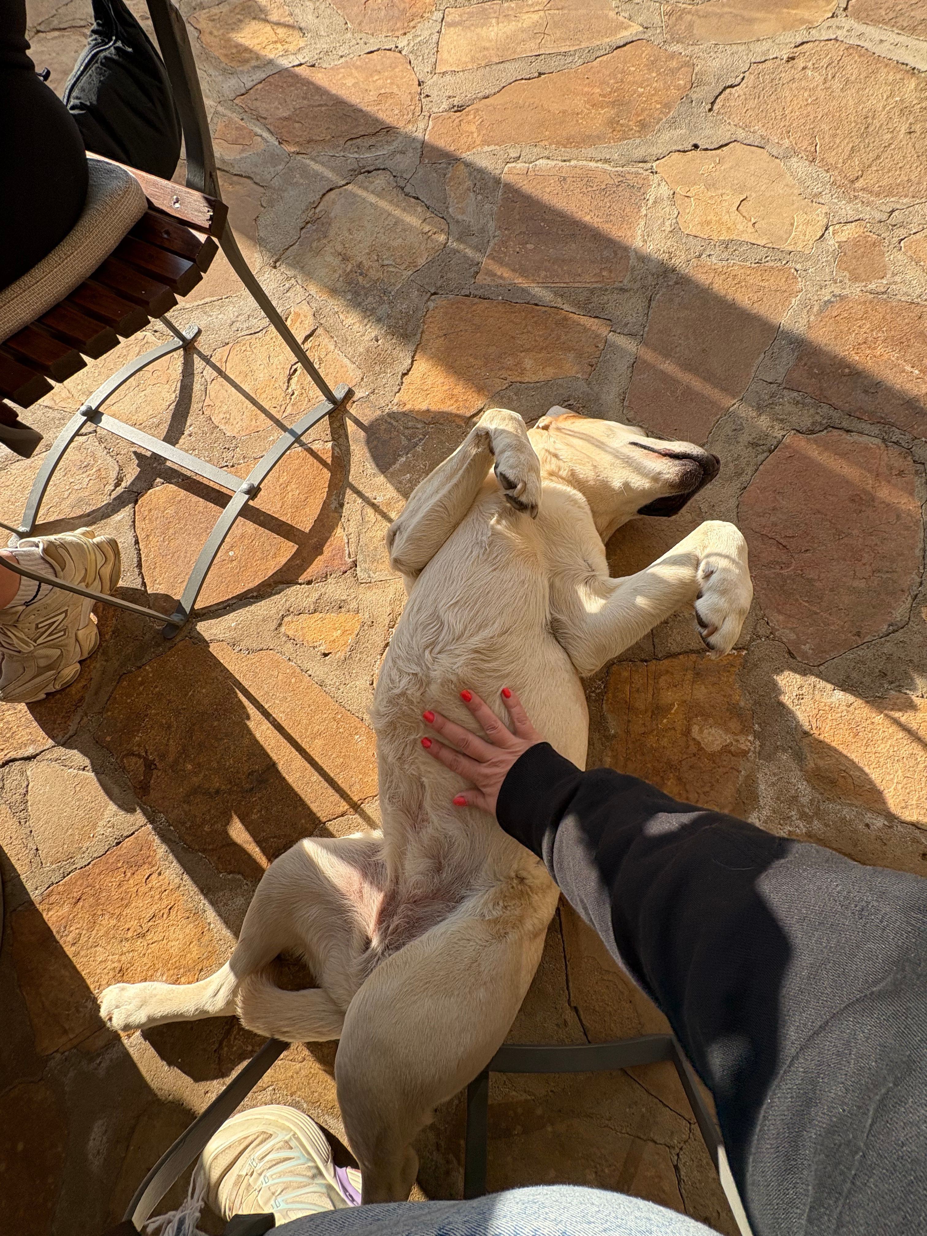image-6