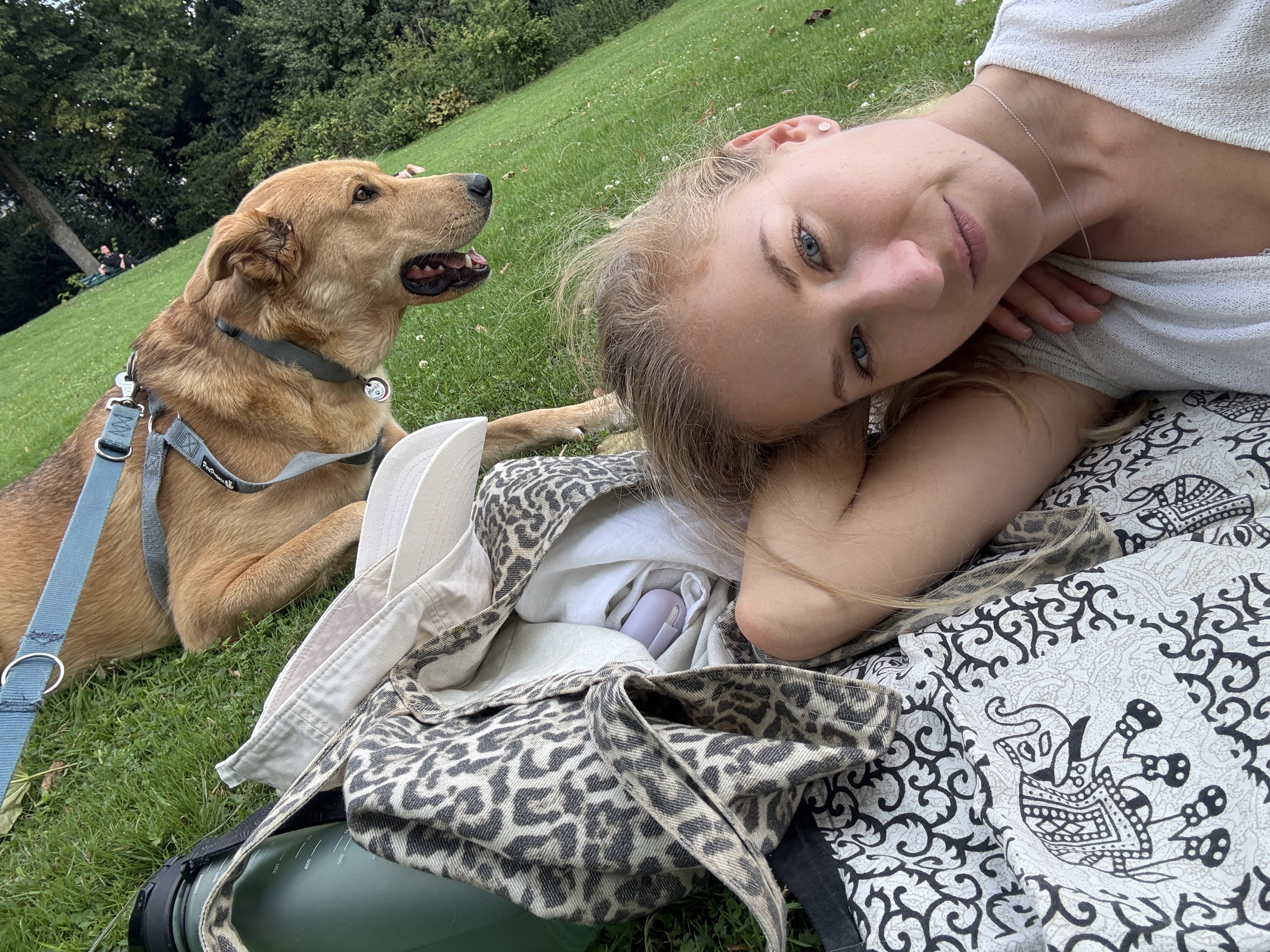 image-8