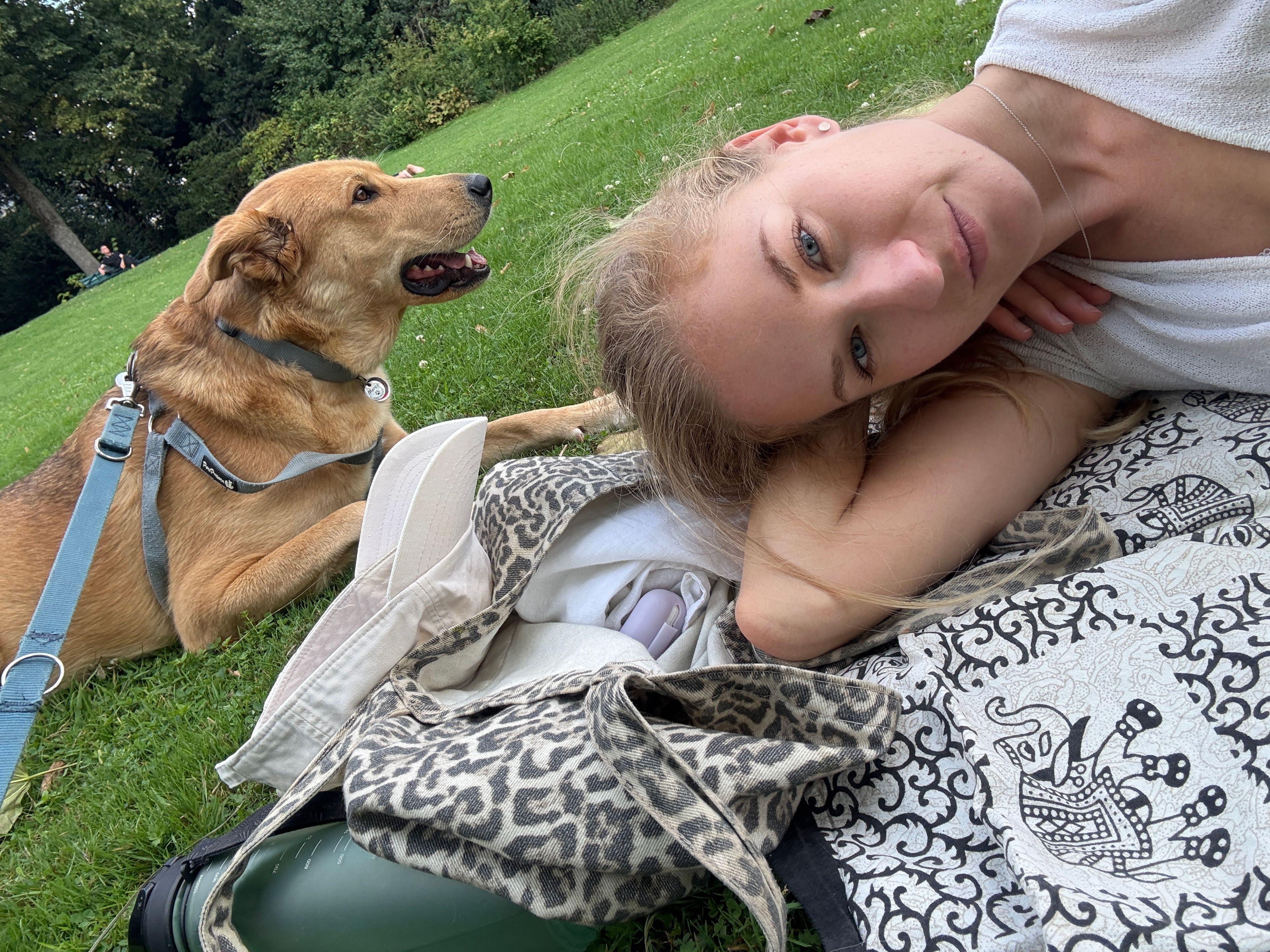image-8