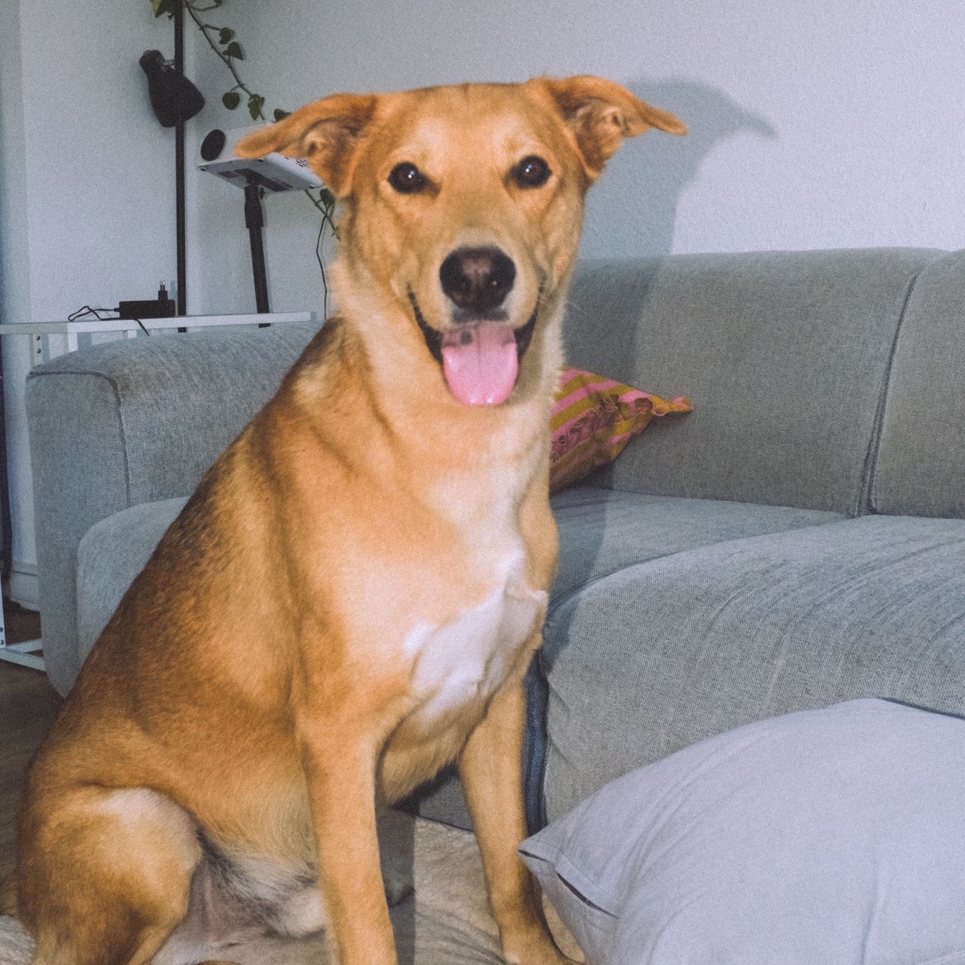 Marco