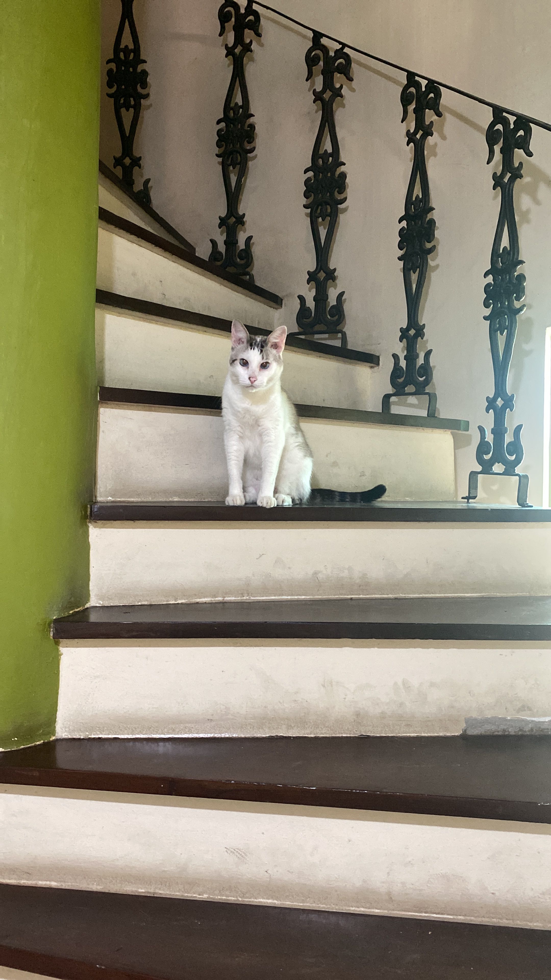 image-8