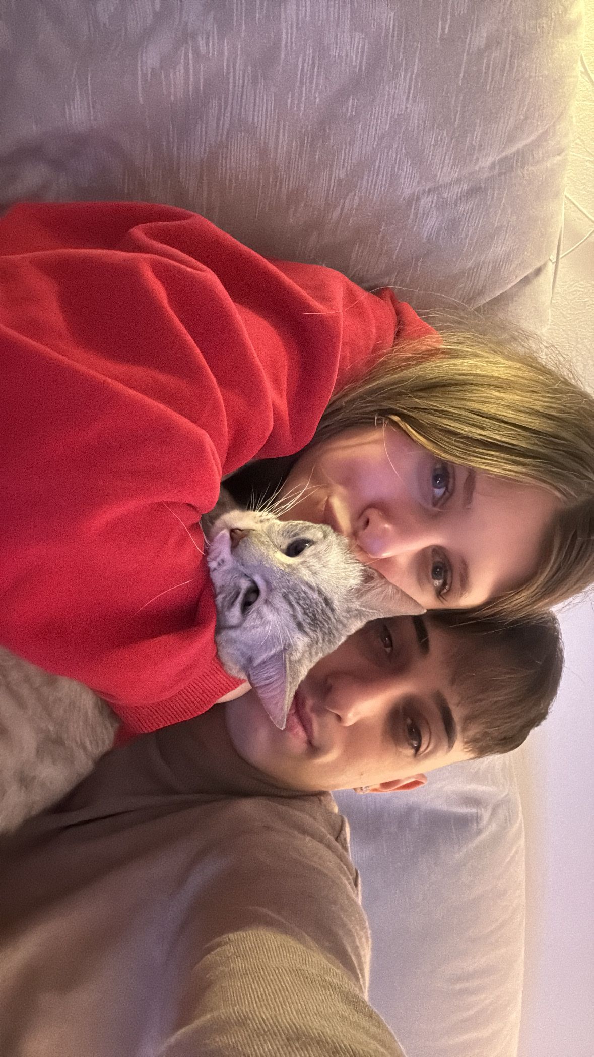 image-15