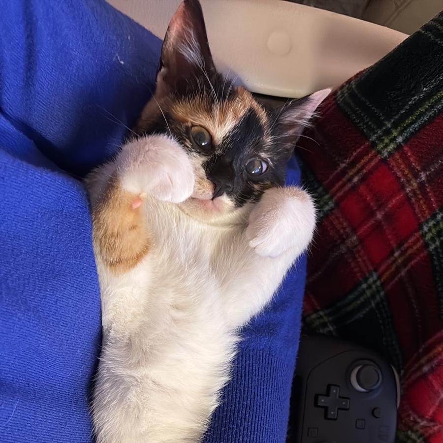 Mew