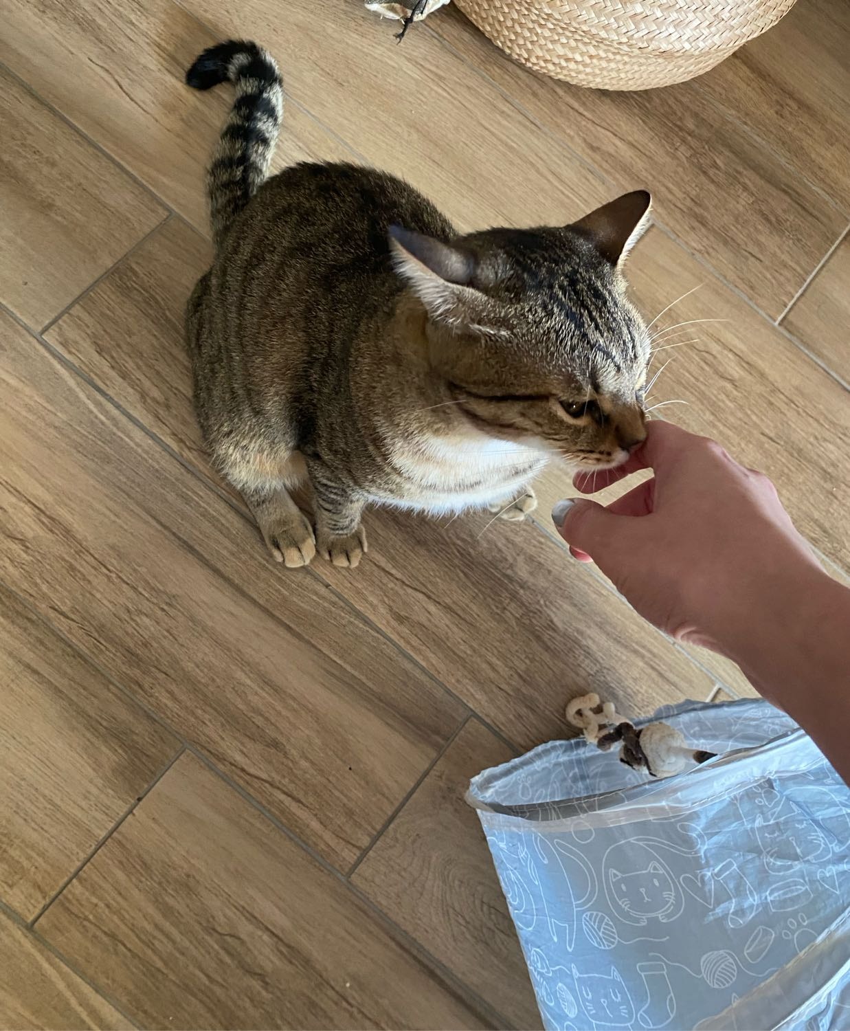image-18