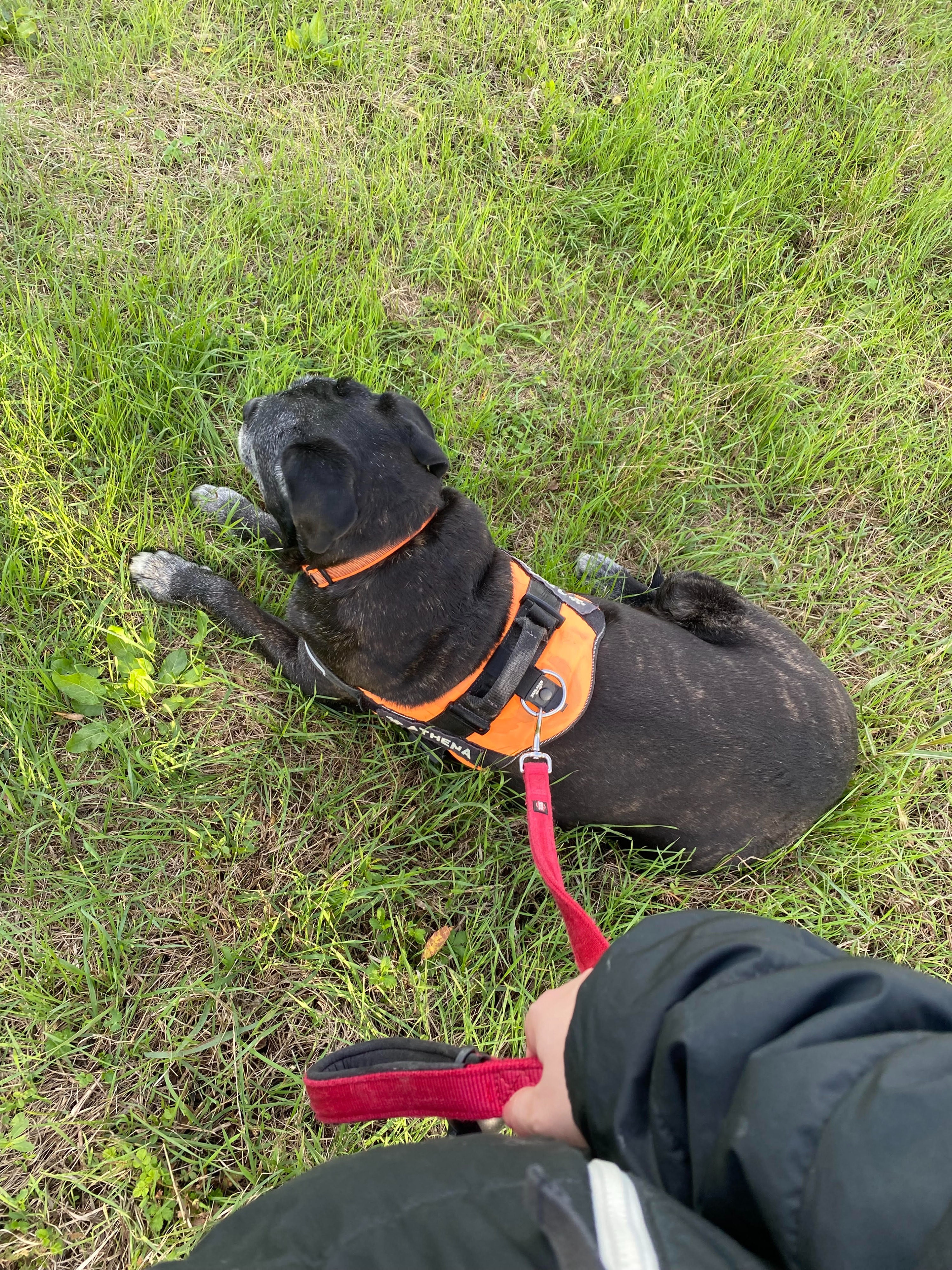 image-16
