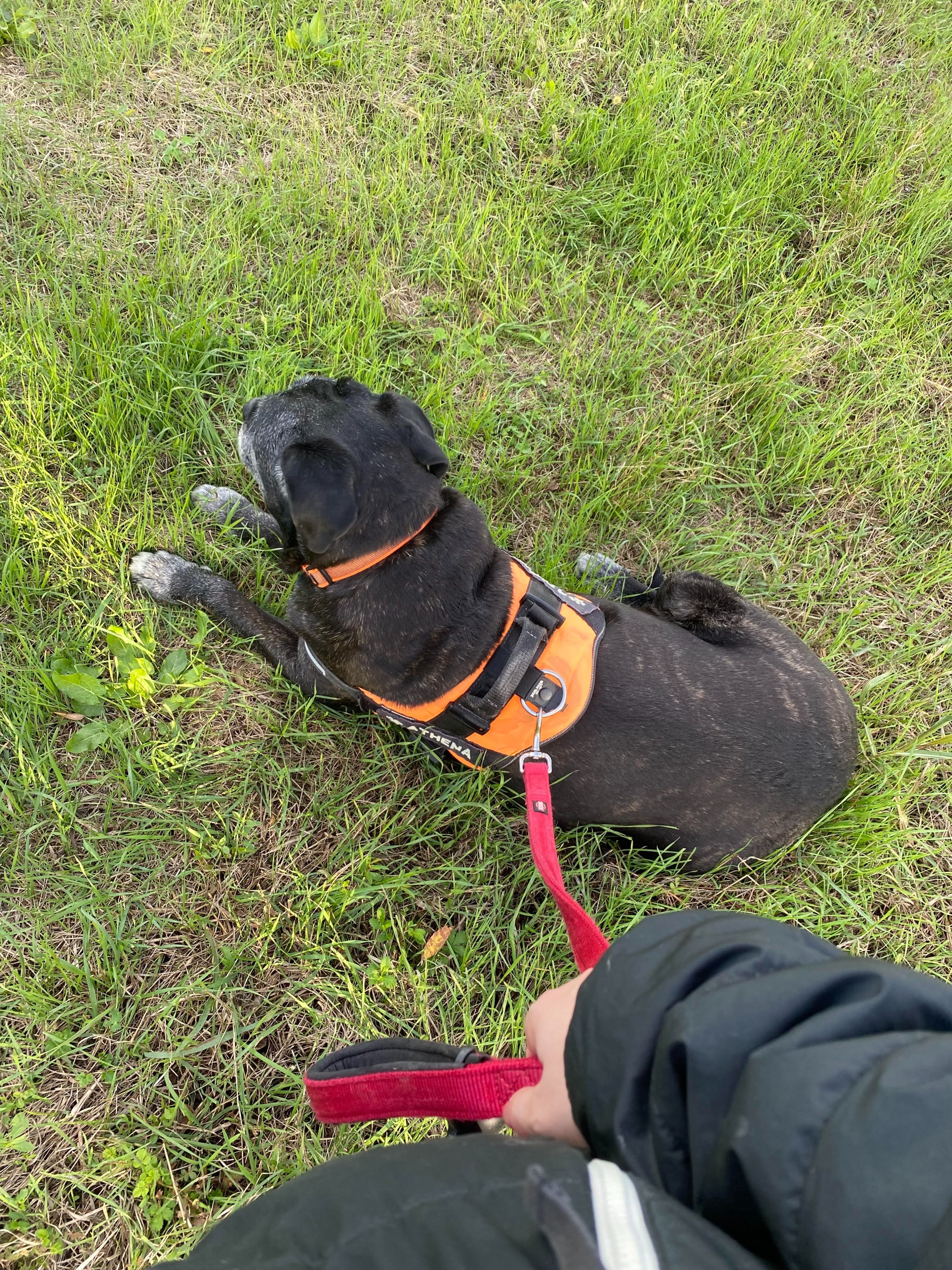 image-16