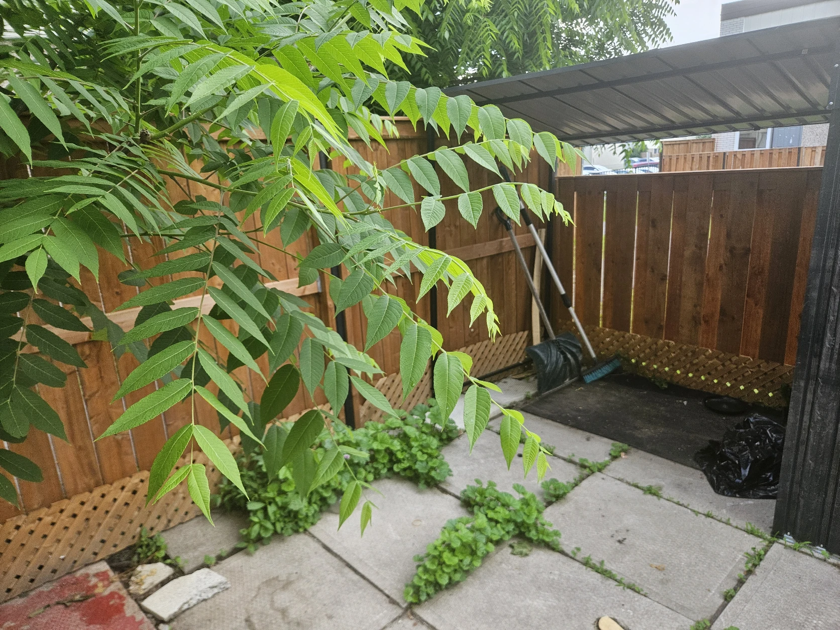 image-16