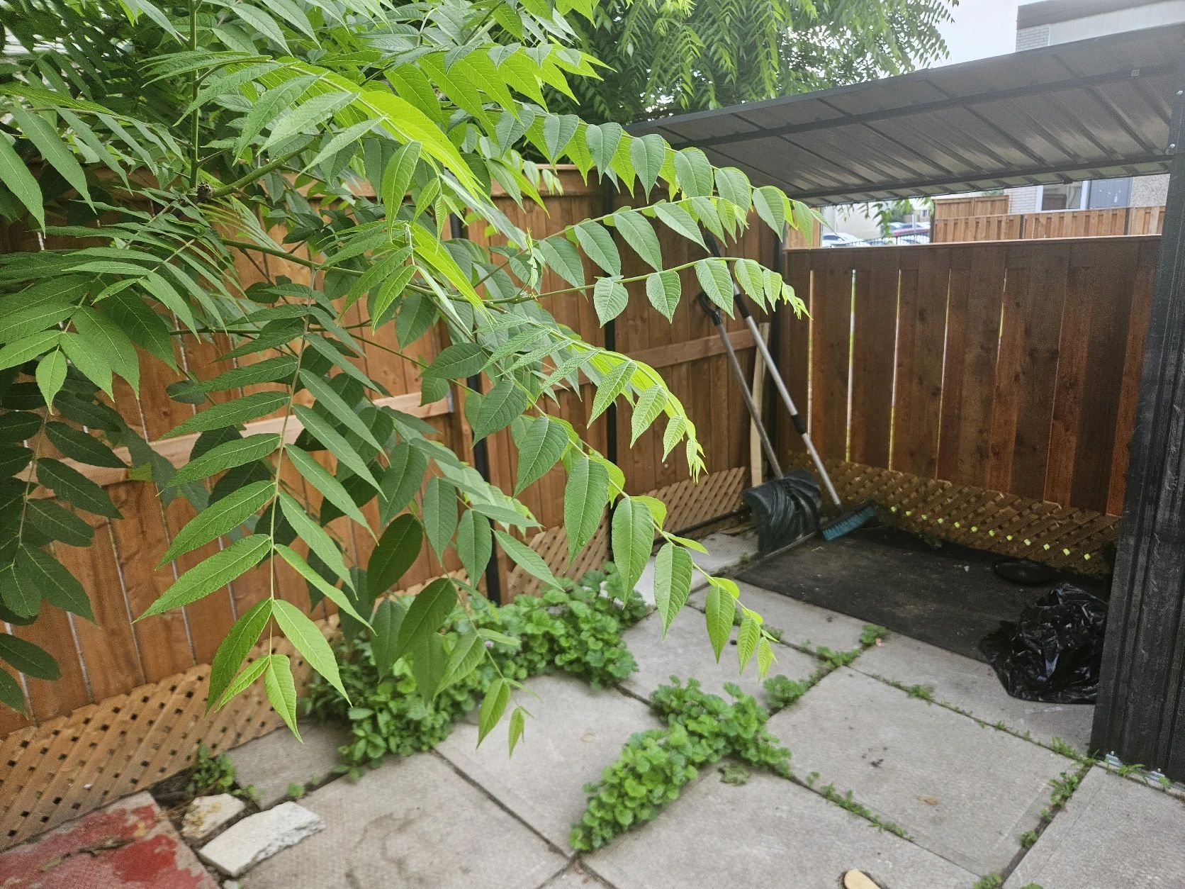 image-16
