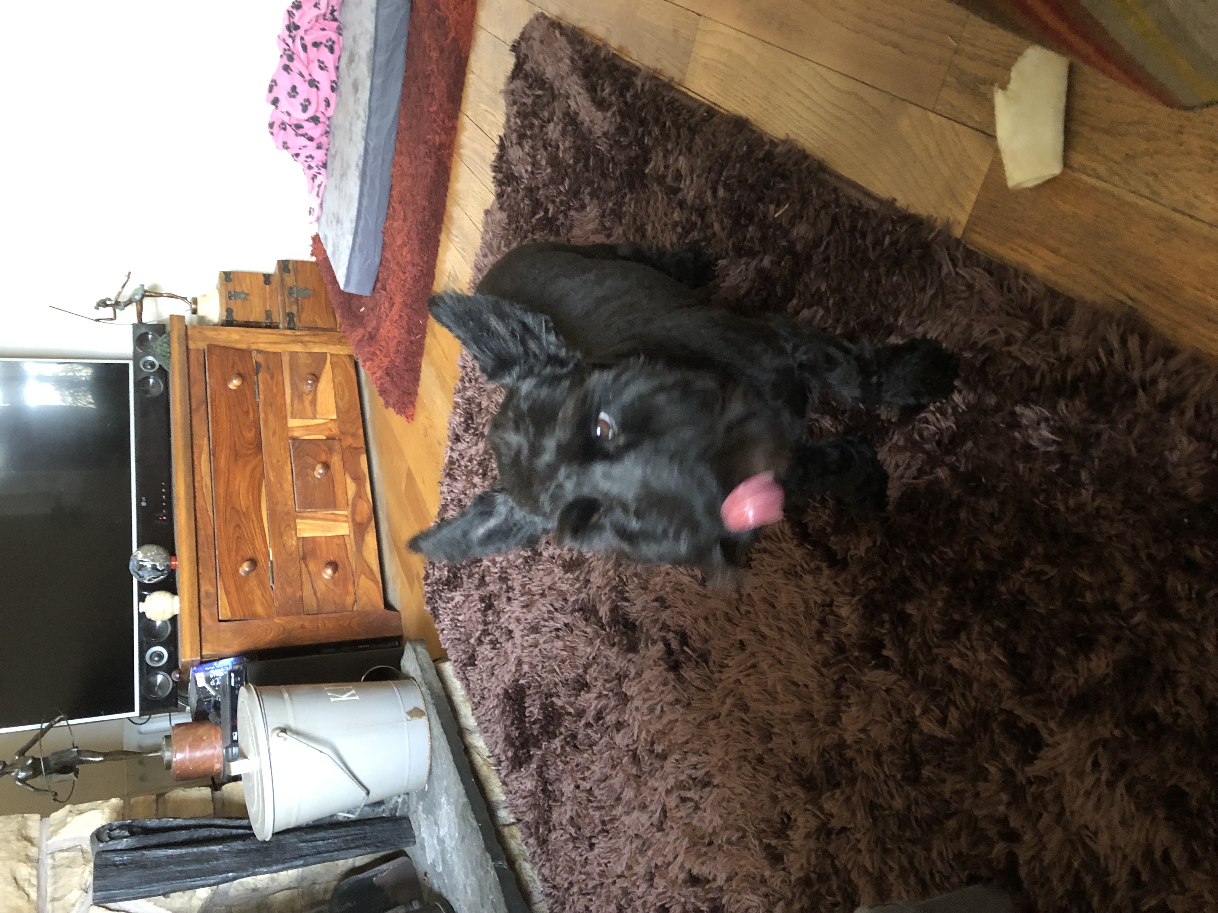 image-12