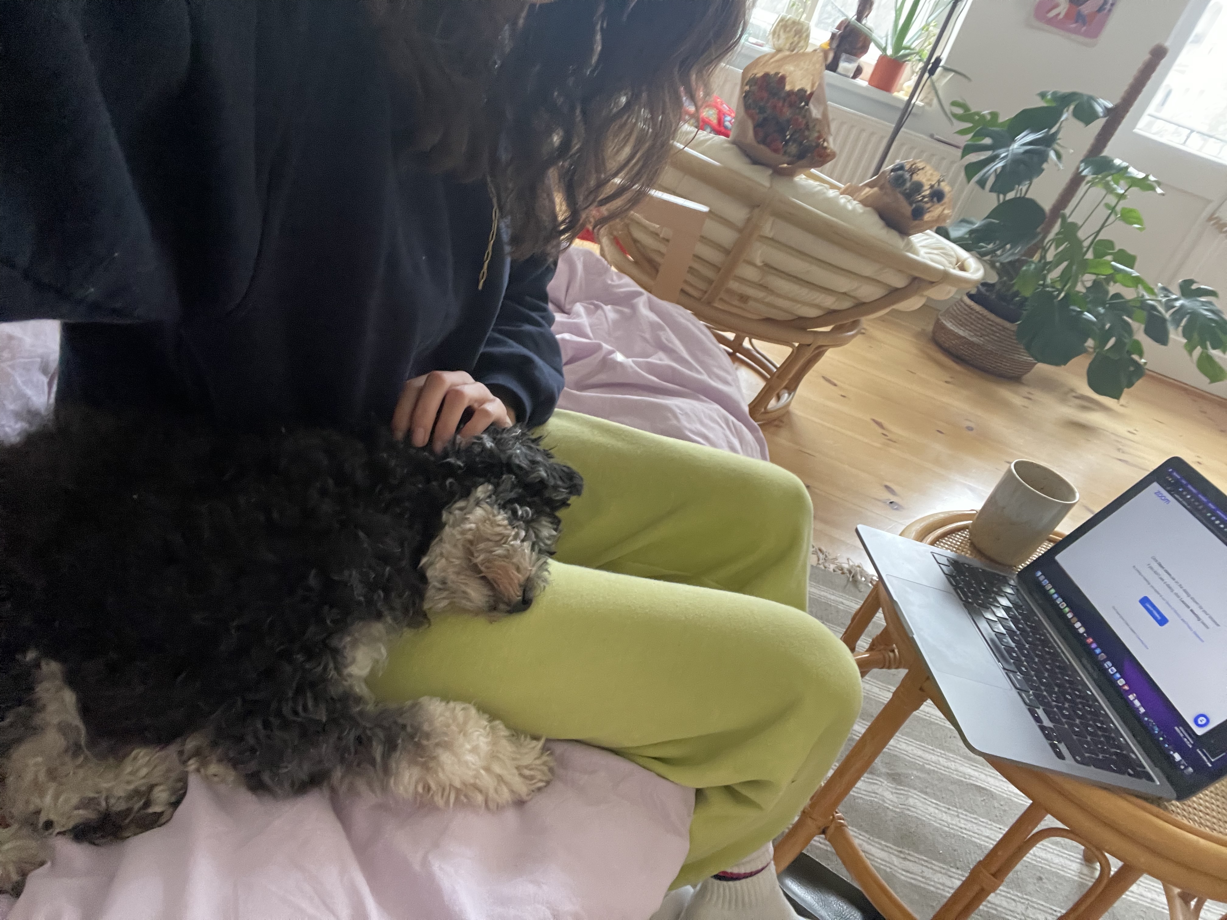 image-5