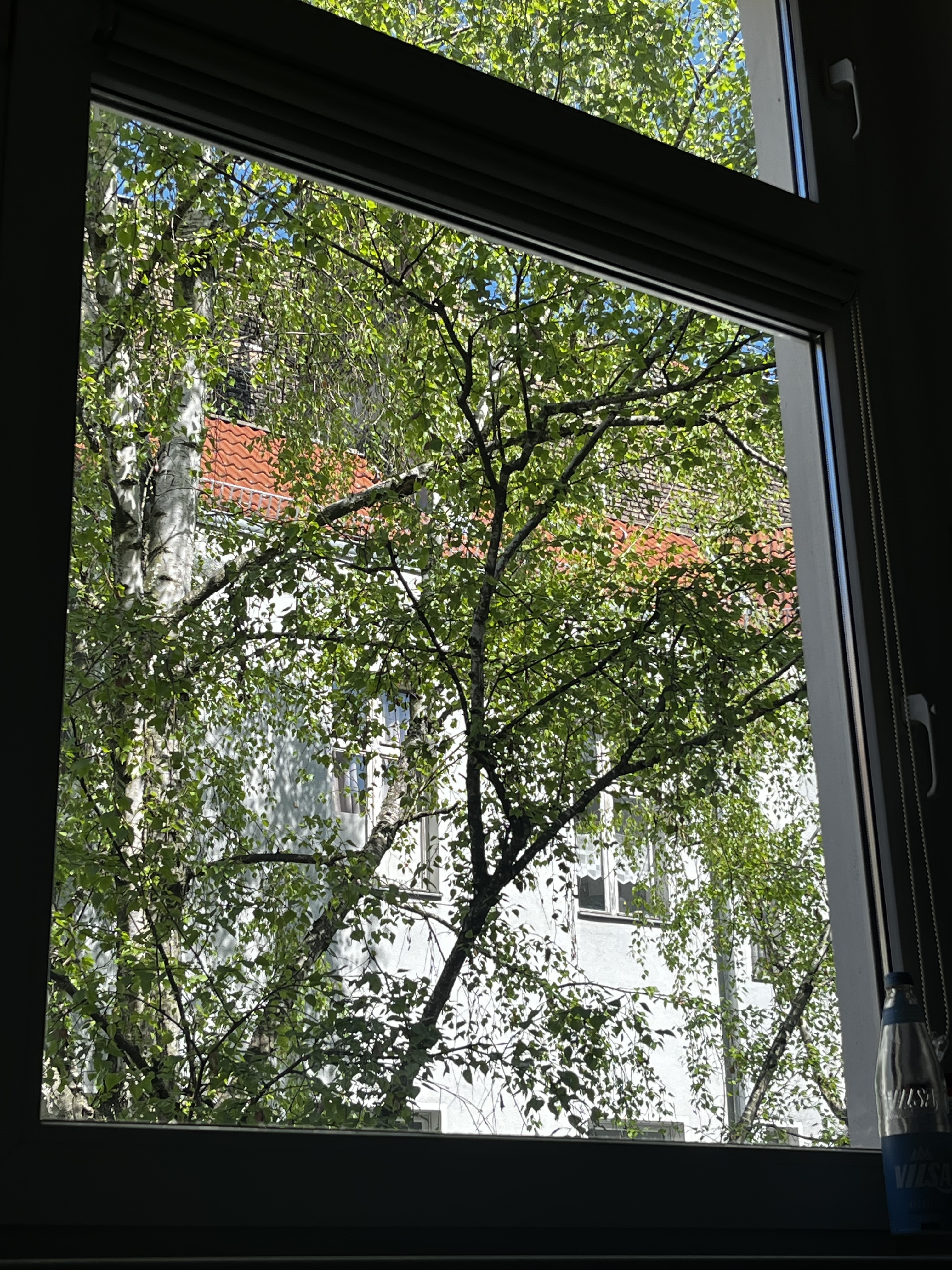 image-18