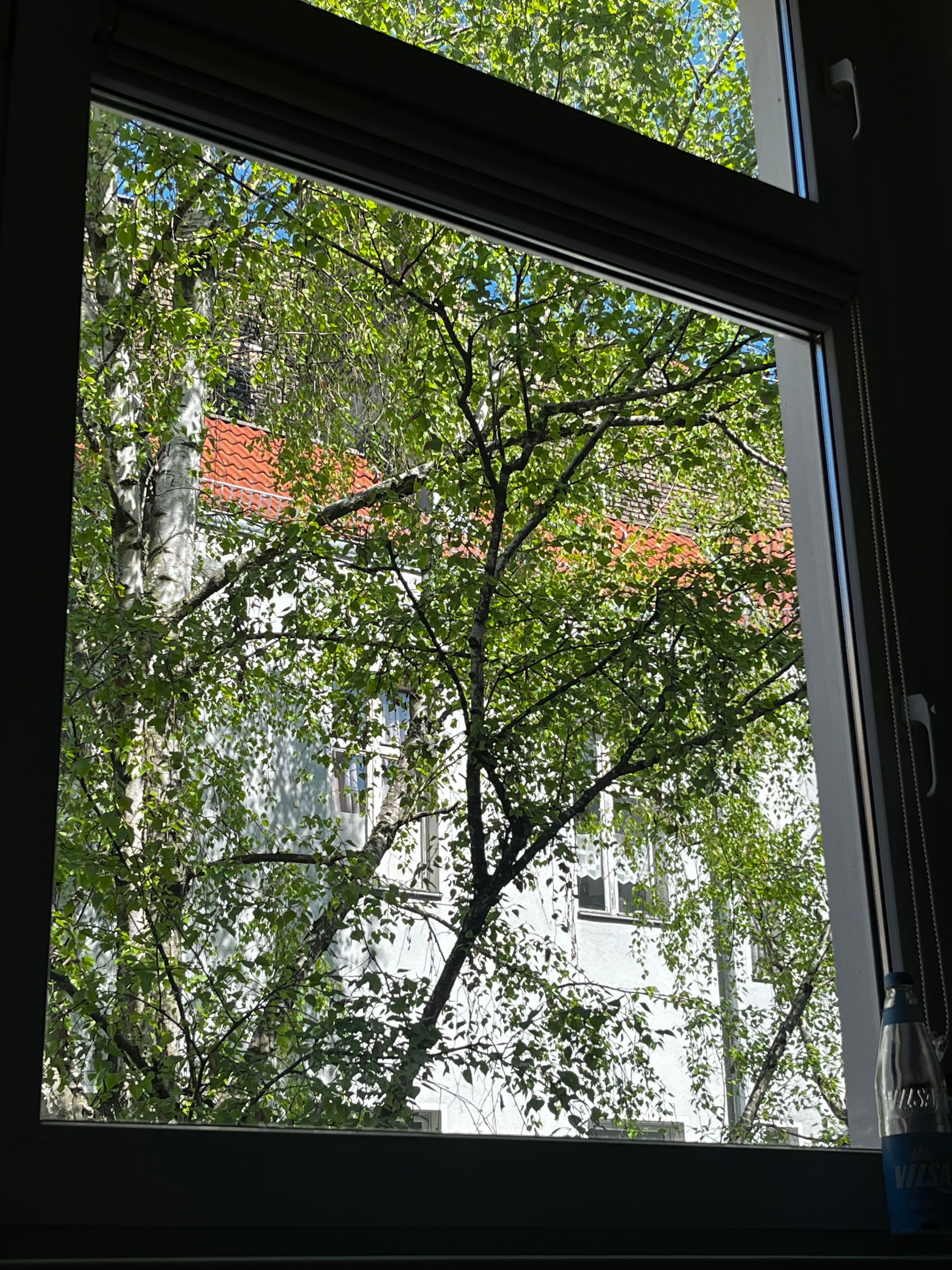 image-18
