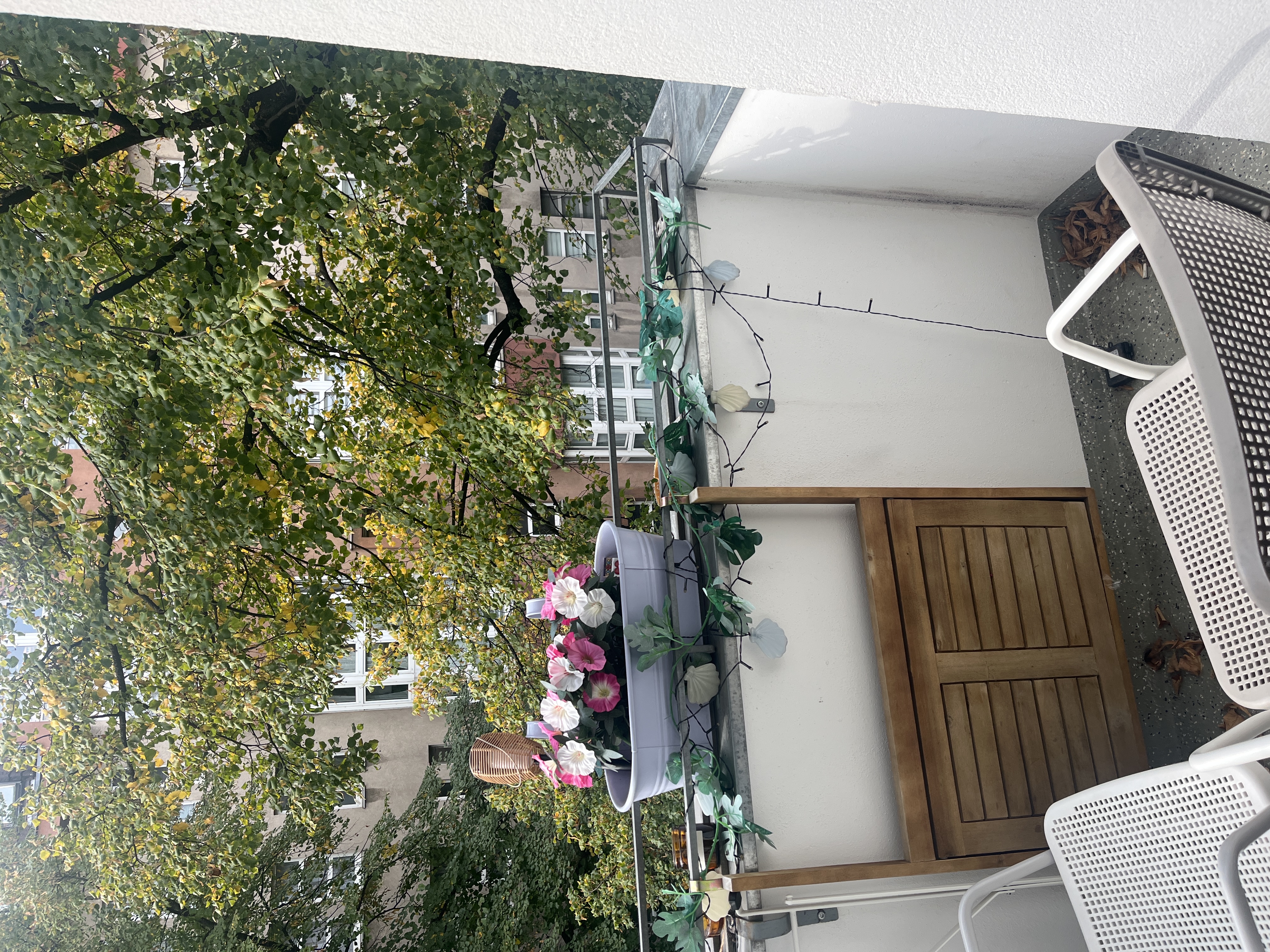 image-20